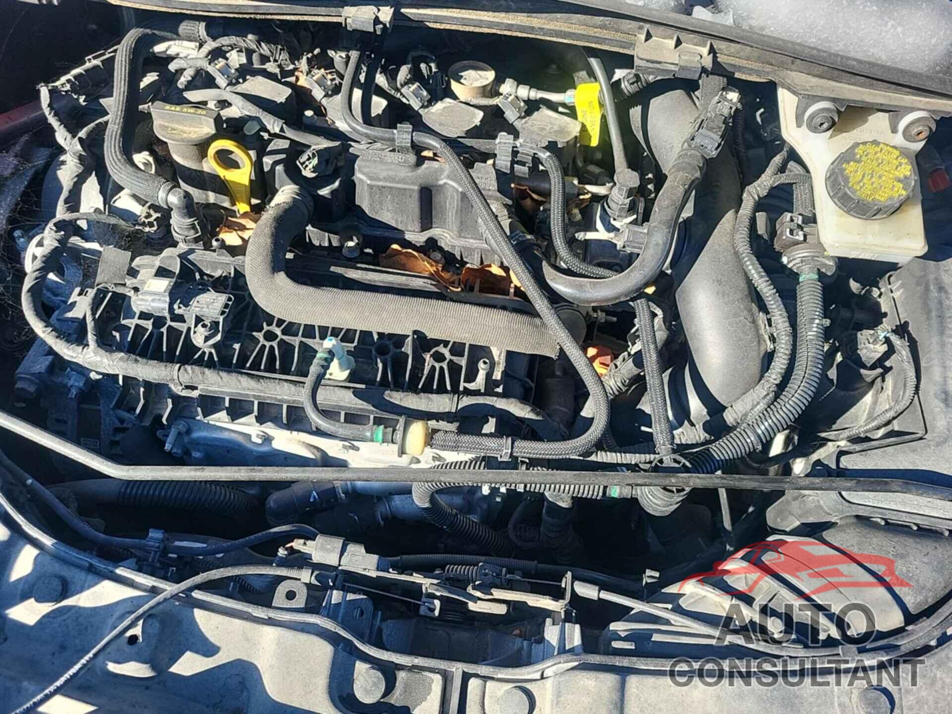FORD ESCAPE 2019 - 1FMCU9HD0KUC07847