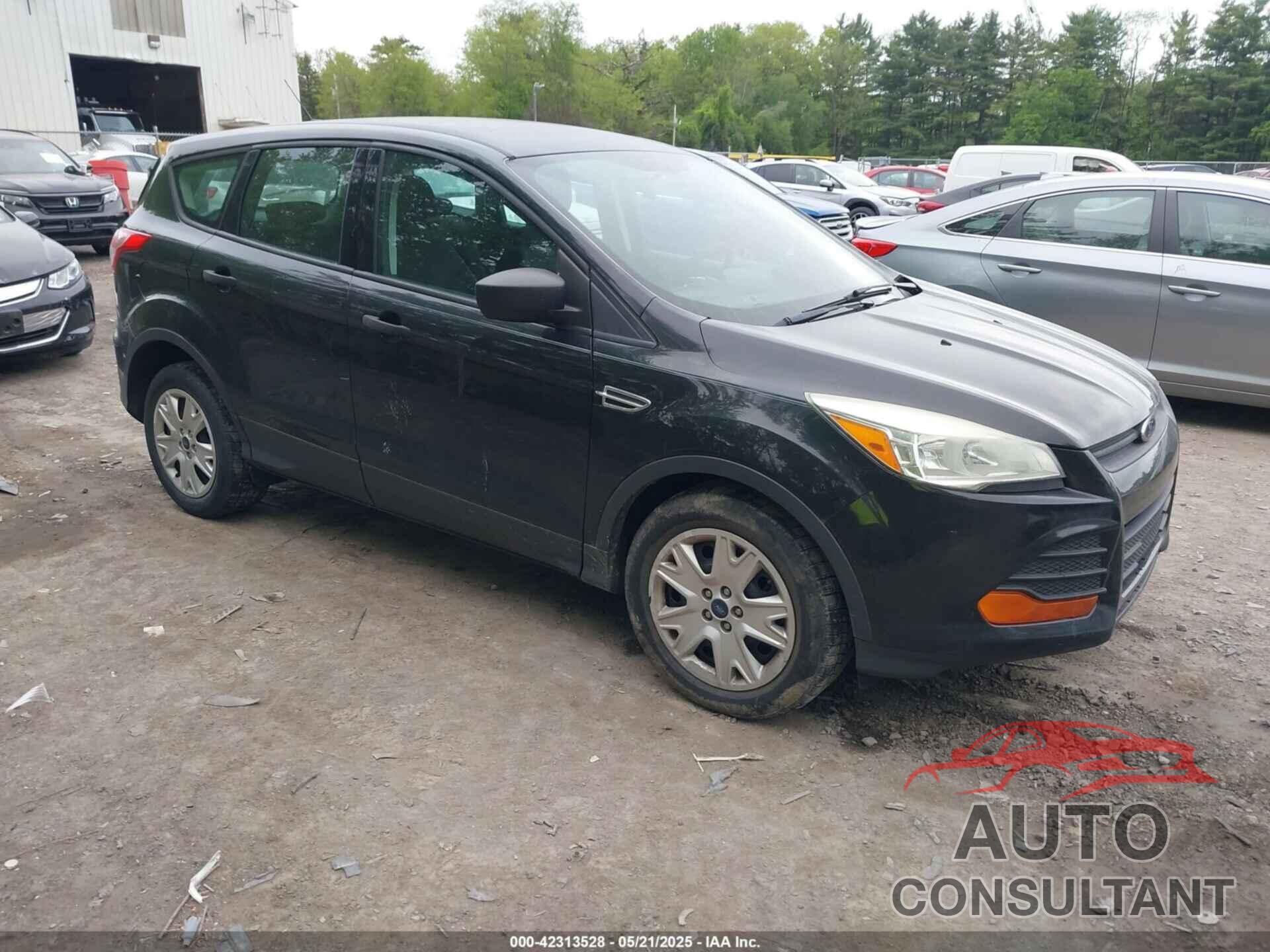 FORD ESCAPE 2014 - 1FMCU0F72EUA01961