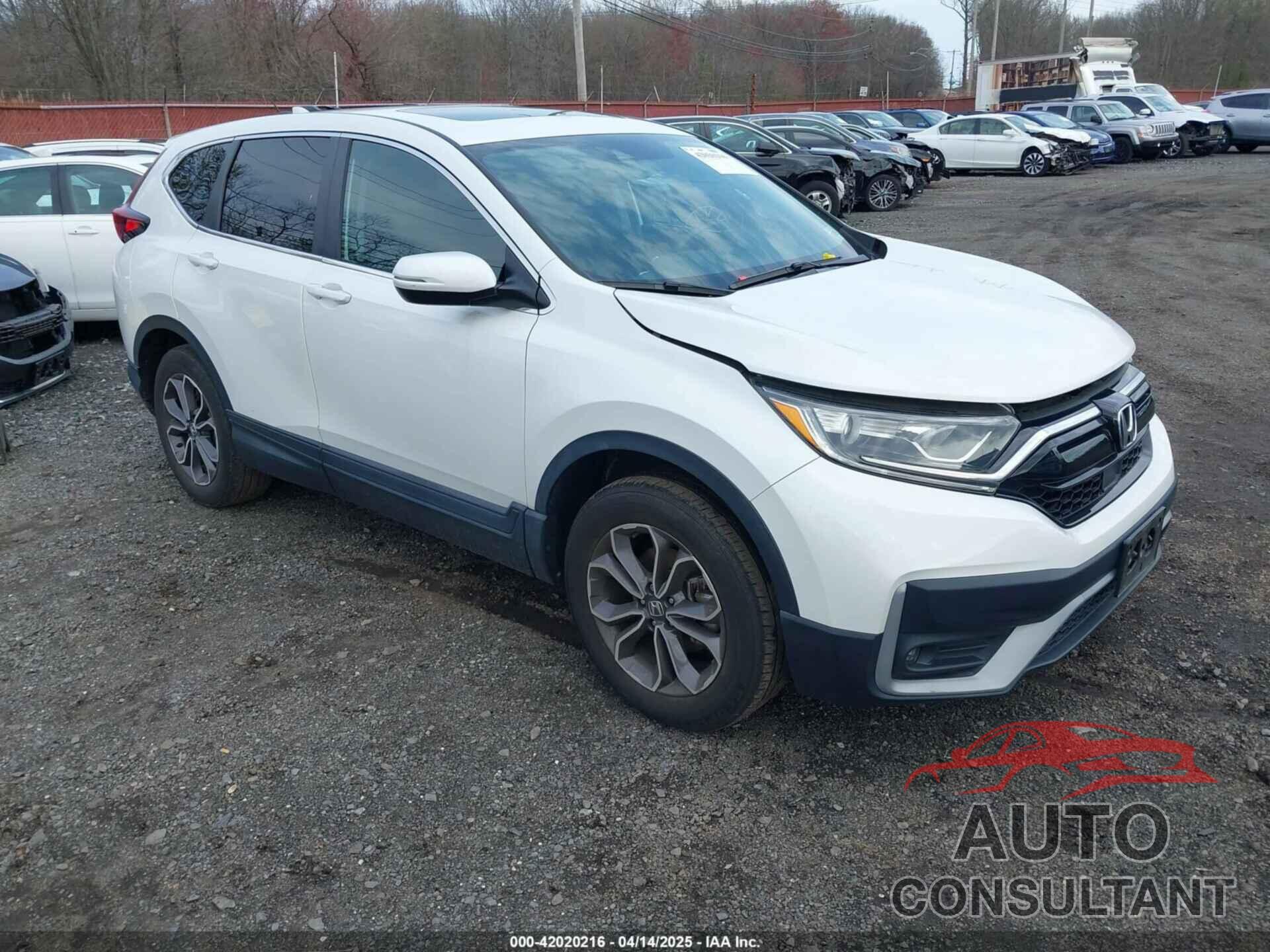 HONDA CR-V 2020 - 2HKRW2H86LH635386