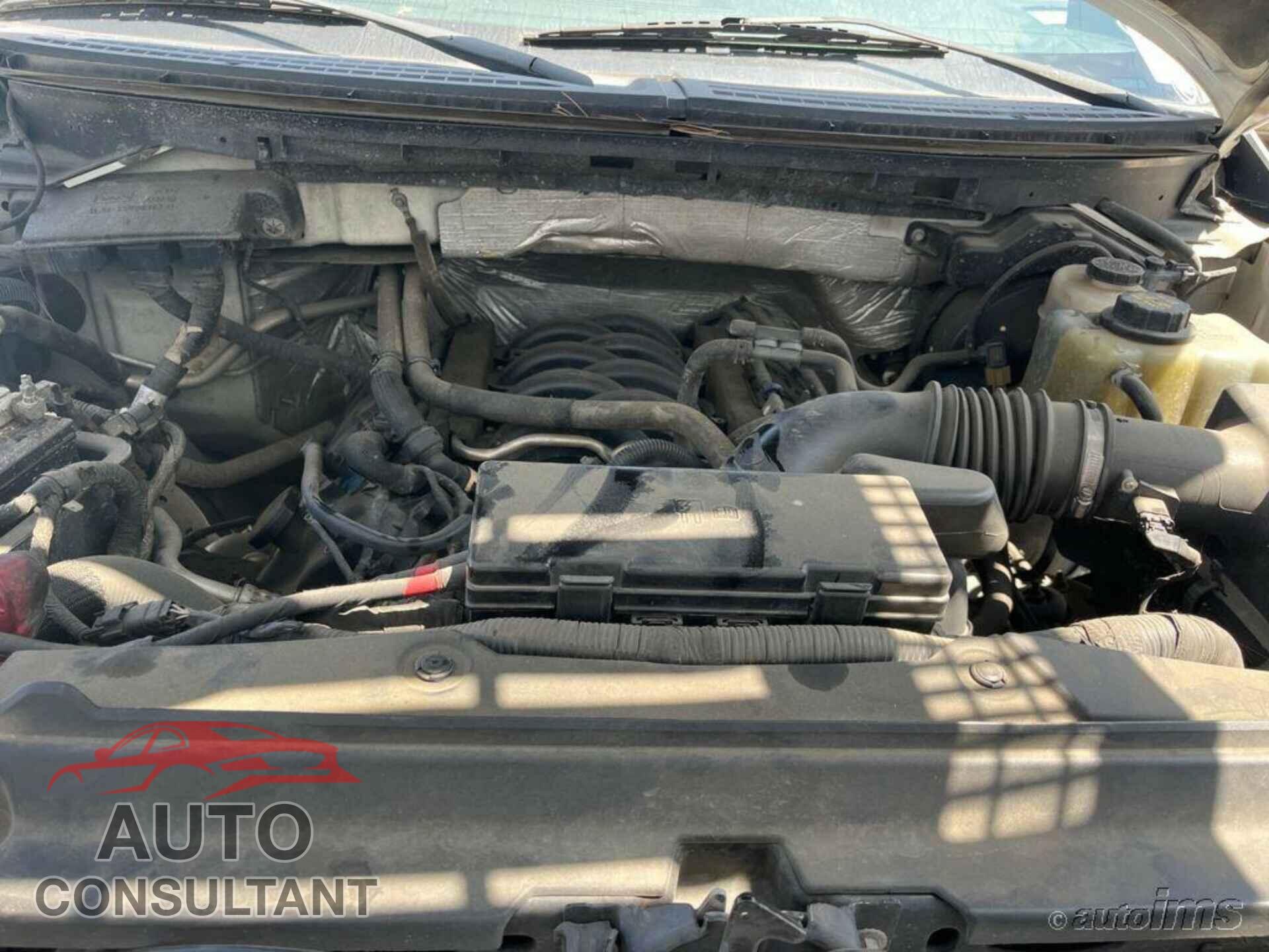 FORD F150 2012 - 1FTFX1EF5CFC22477