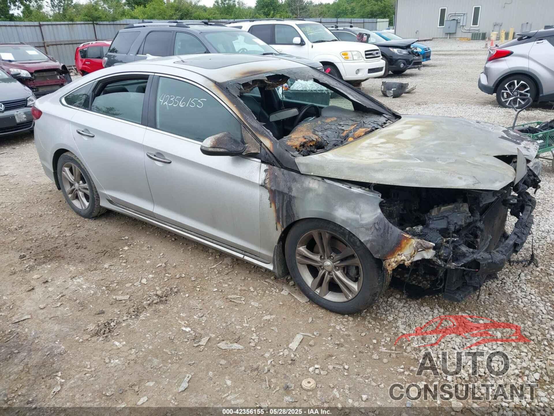 HYUNDAI SONATA 2019 - 5NPE34AF5KH759255