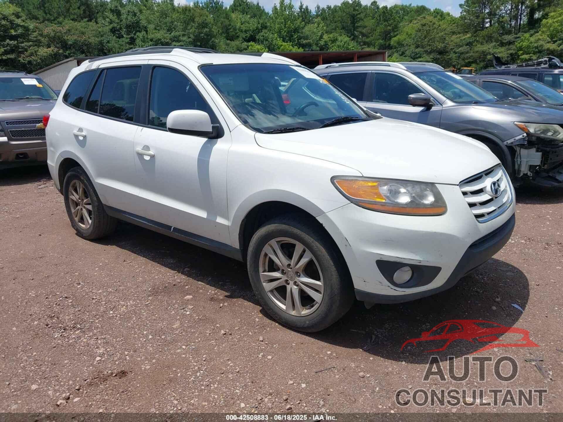 HYUNDAI SANTA FE 2010 - 5NMSH4AG5AH336443