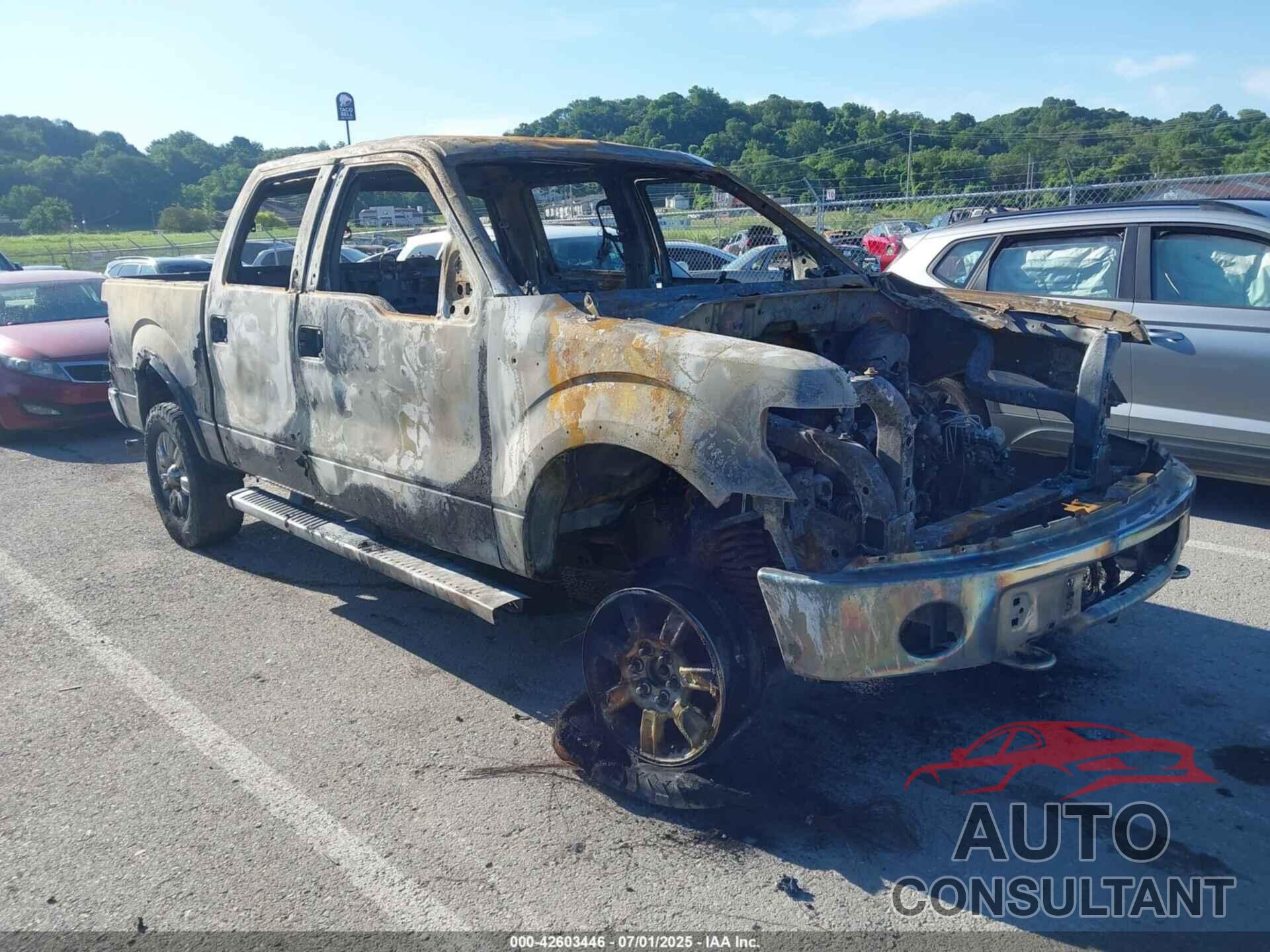 FORD F-150 2012 - 1FTFW1EF9CFA36931