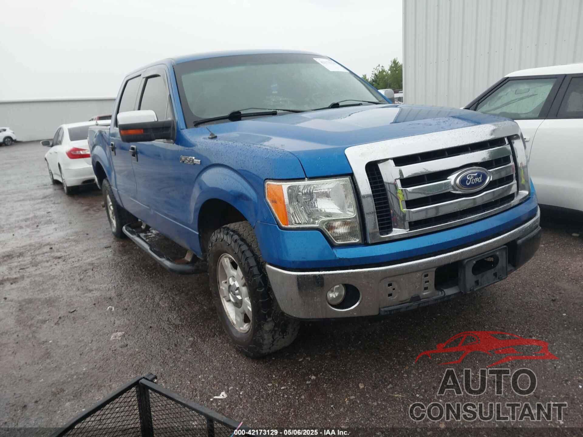 FORD F-150 2010 - 1FTEW1C87AKA66417