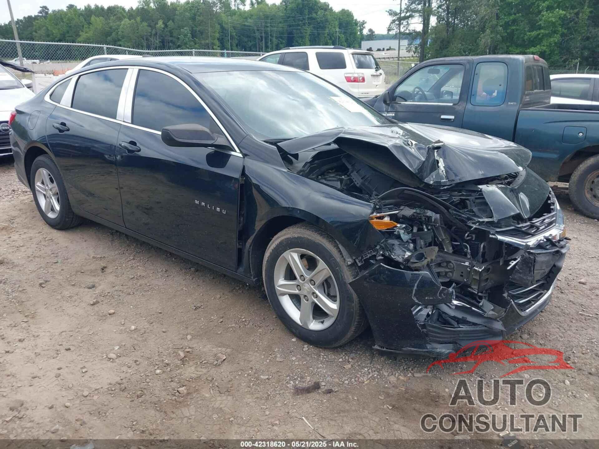 CHEVROLET MALIBU 2019 - 1G1ZC5ST6KF181875