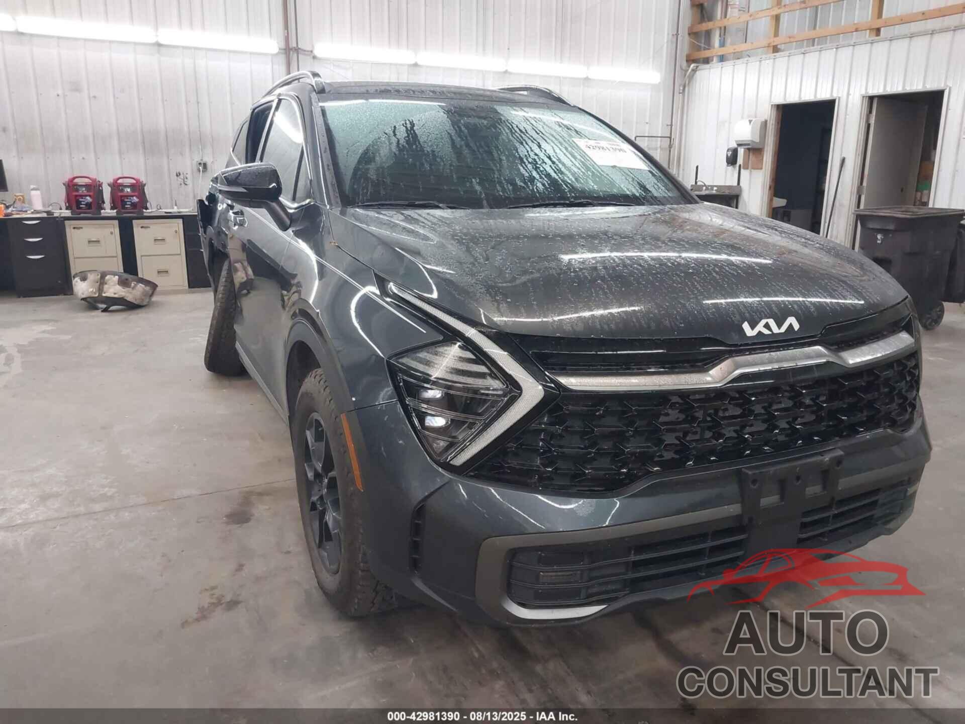 KIA SPORTAGE 2024 - 5XYK7CDFXRG206504