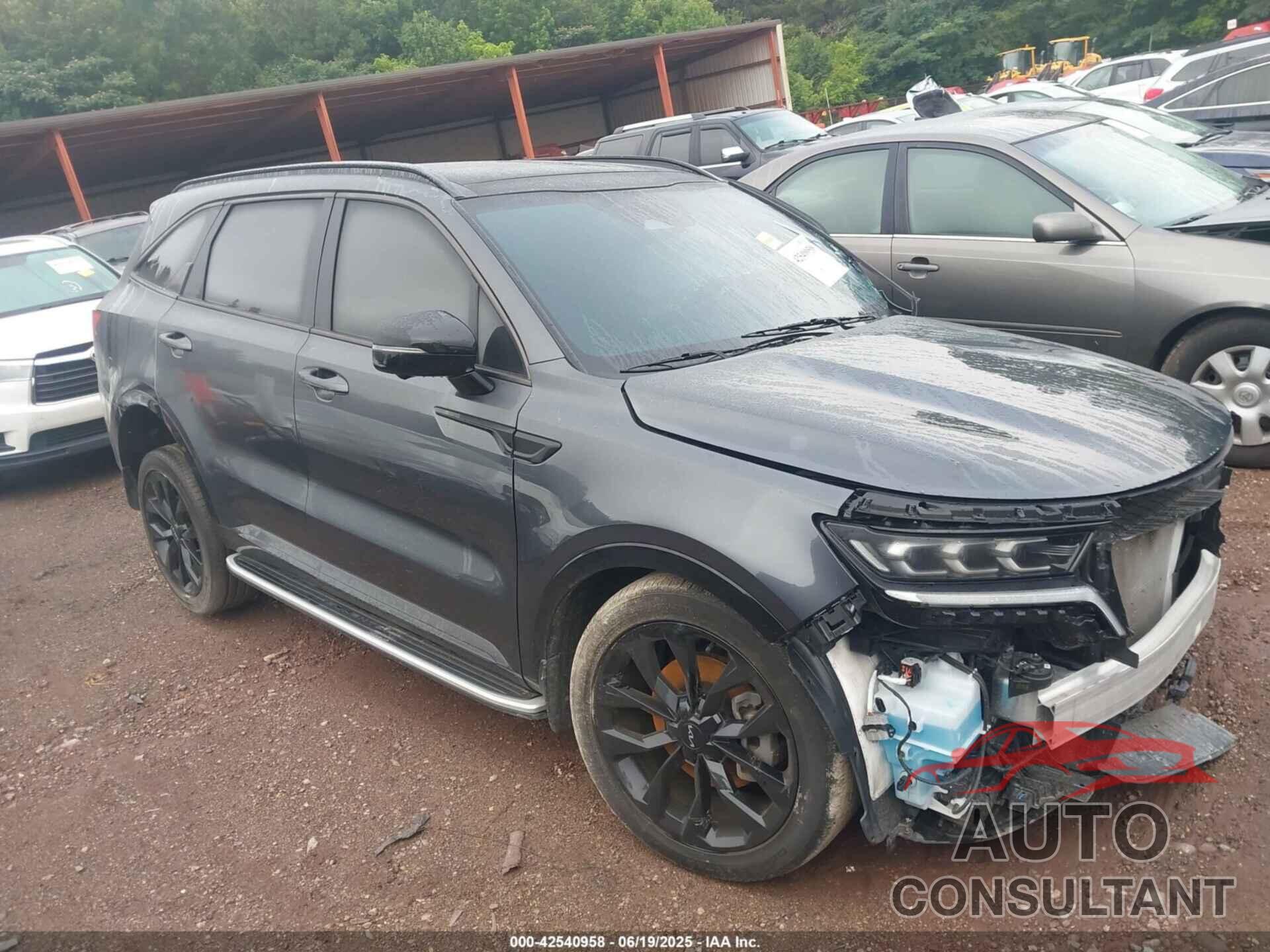 KIA SORENTO 2023 - 5XYRKDLF1PG230174