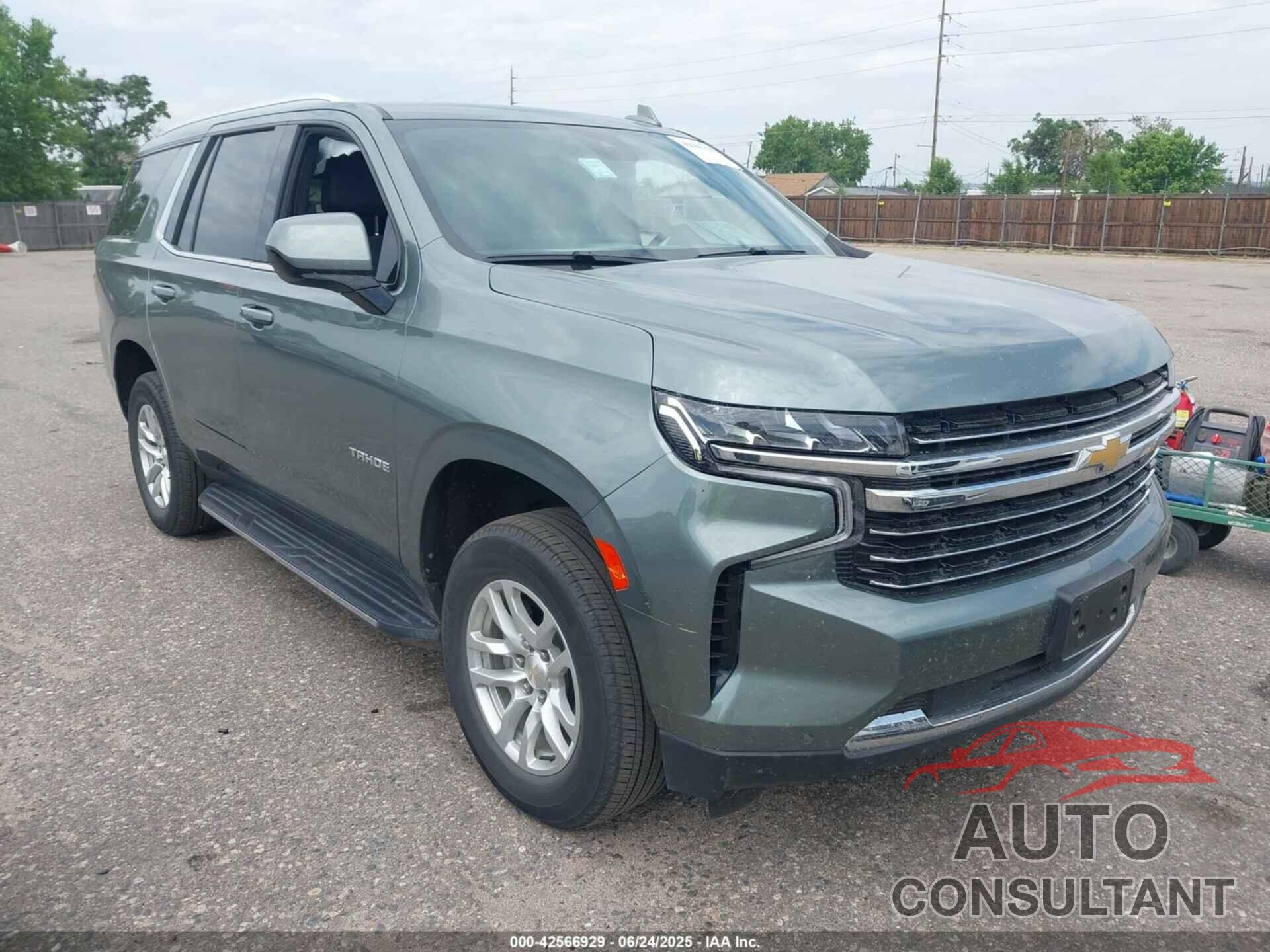 CHEVROLET TAHOE 2024 - 1GNSKNKD7RR173854