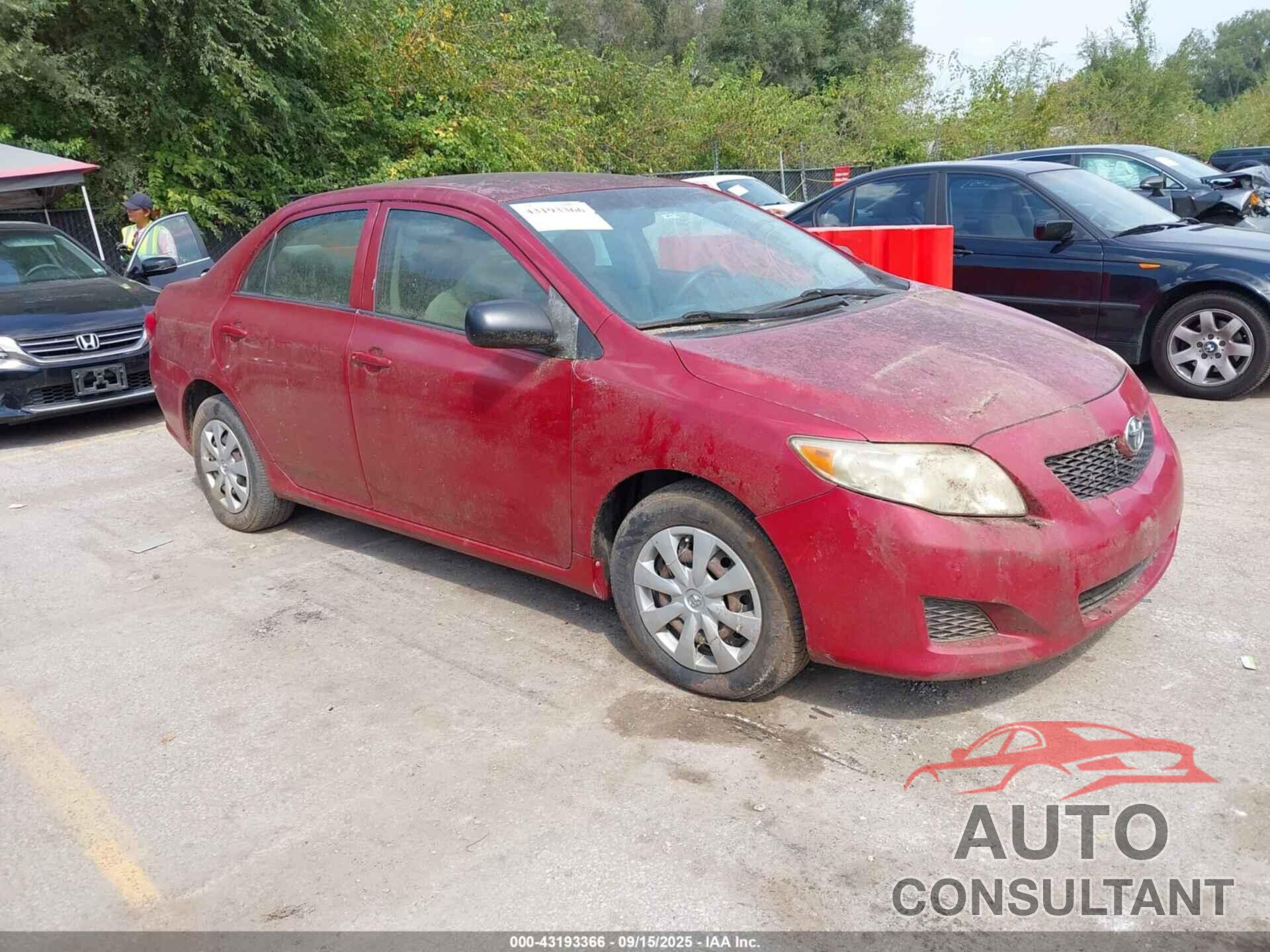 TOYOTA COROLLA 2009 - JTDBL40E499018951