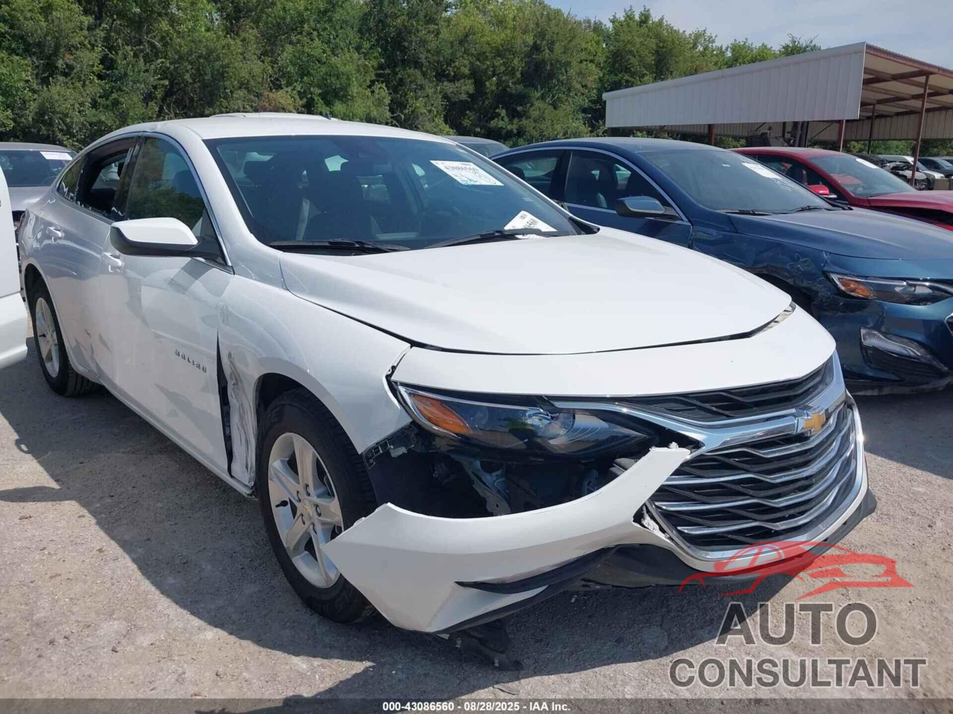 CHEVROLET MALIBU 2024 - 1G1ZD5ST1RF142960