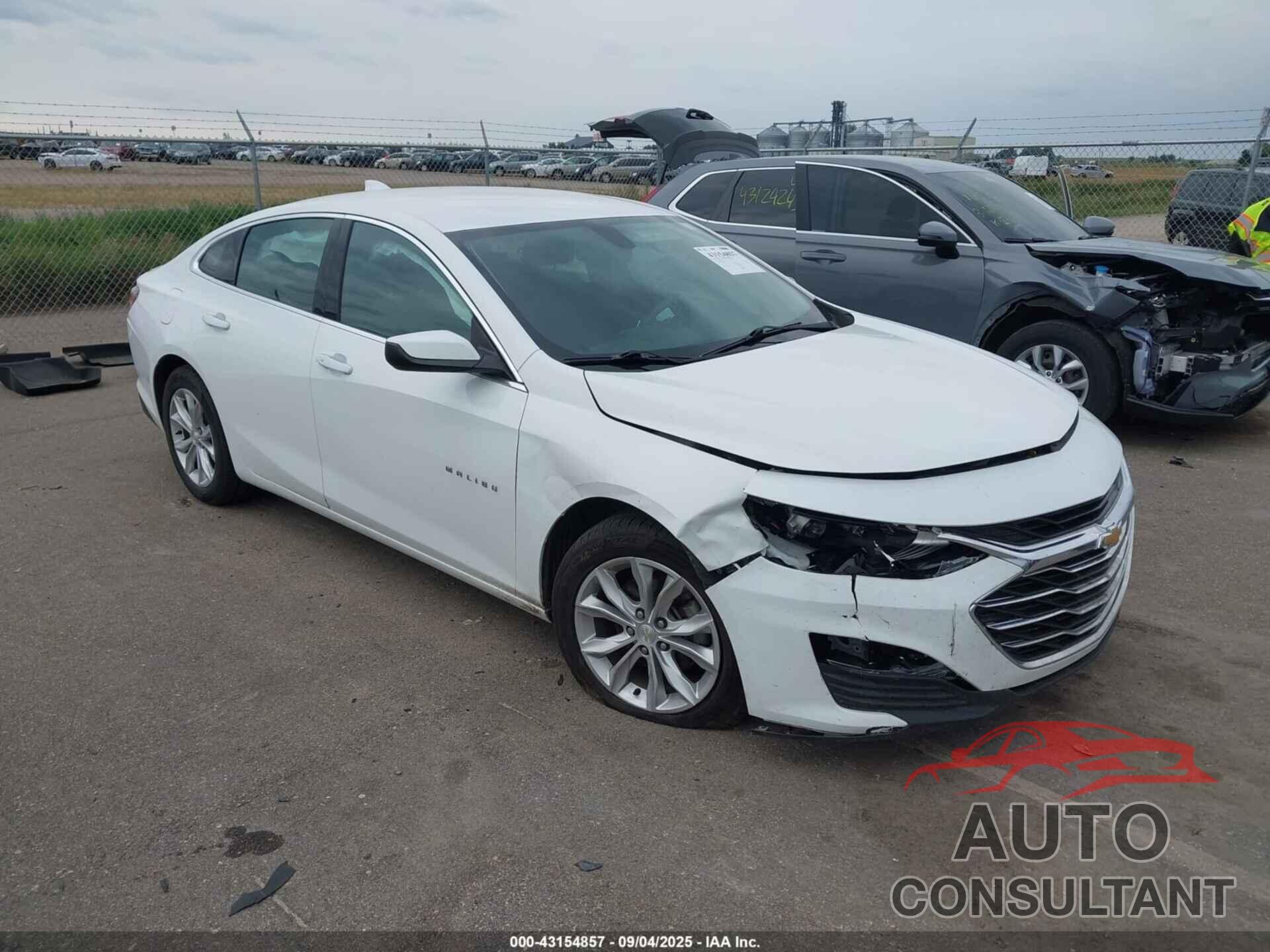 CHEVROLET MALIBU 2019 - 1G1ZD5ST7KF171479