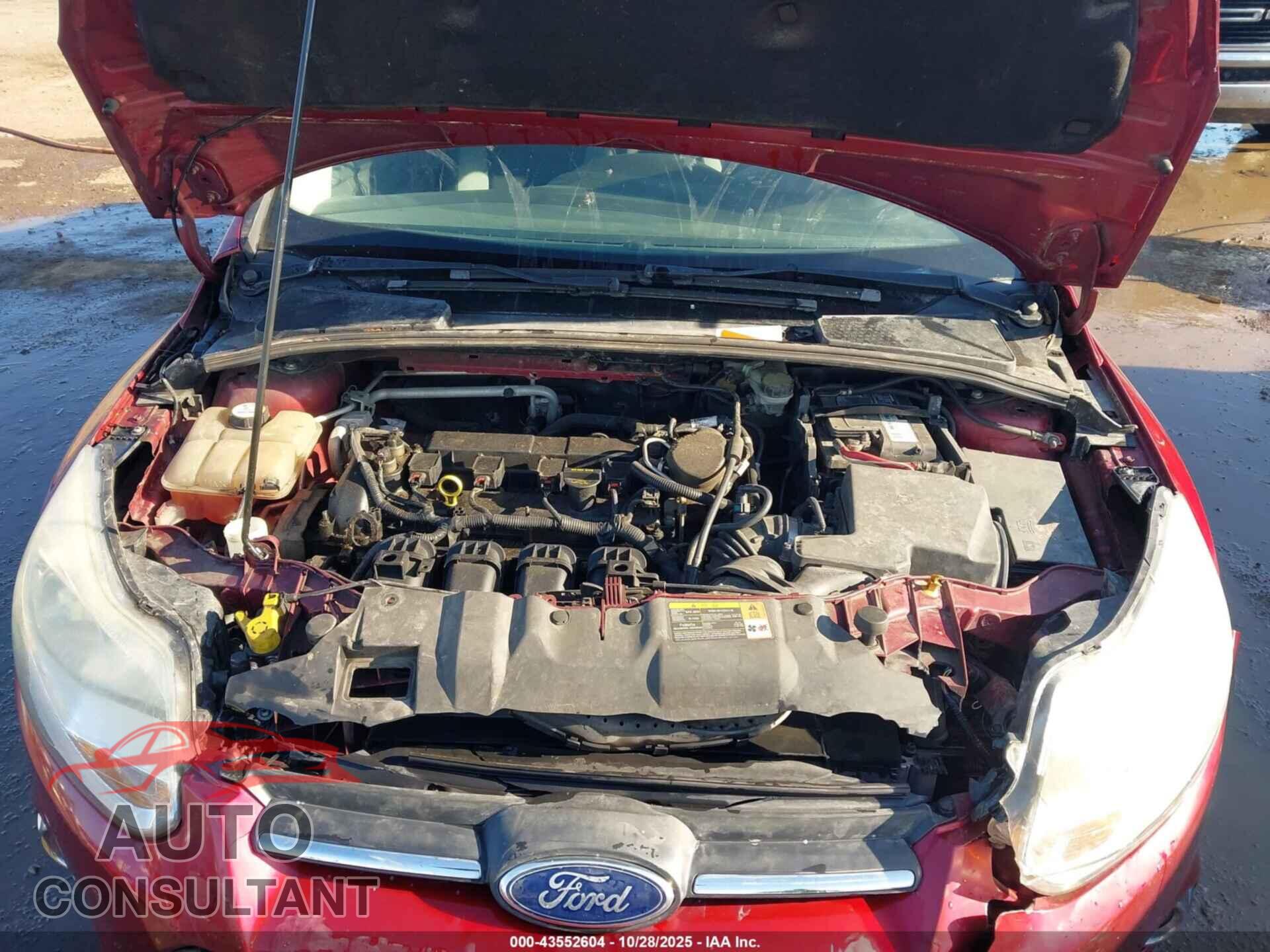 FORD FOCUS 2014 - 1FADP3F24EL245466