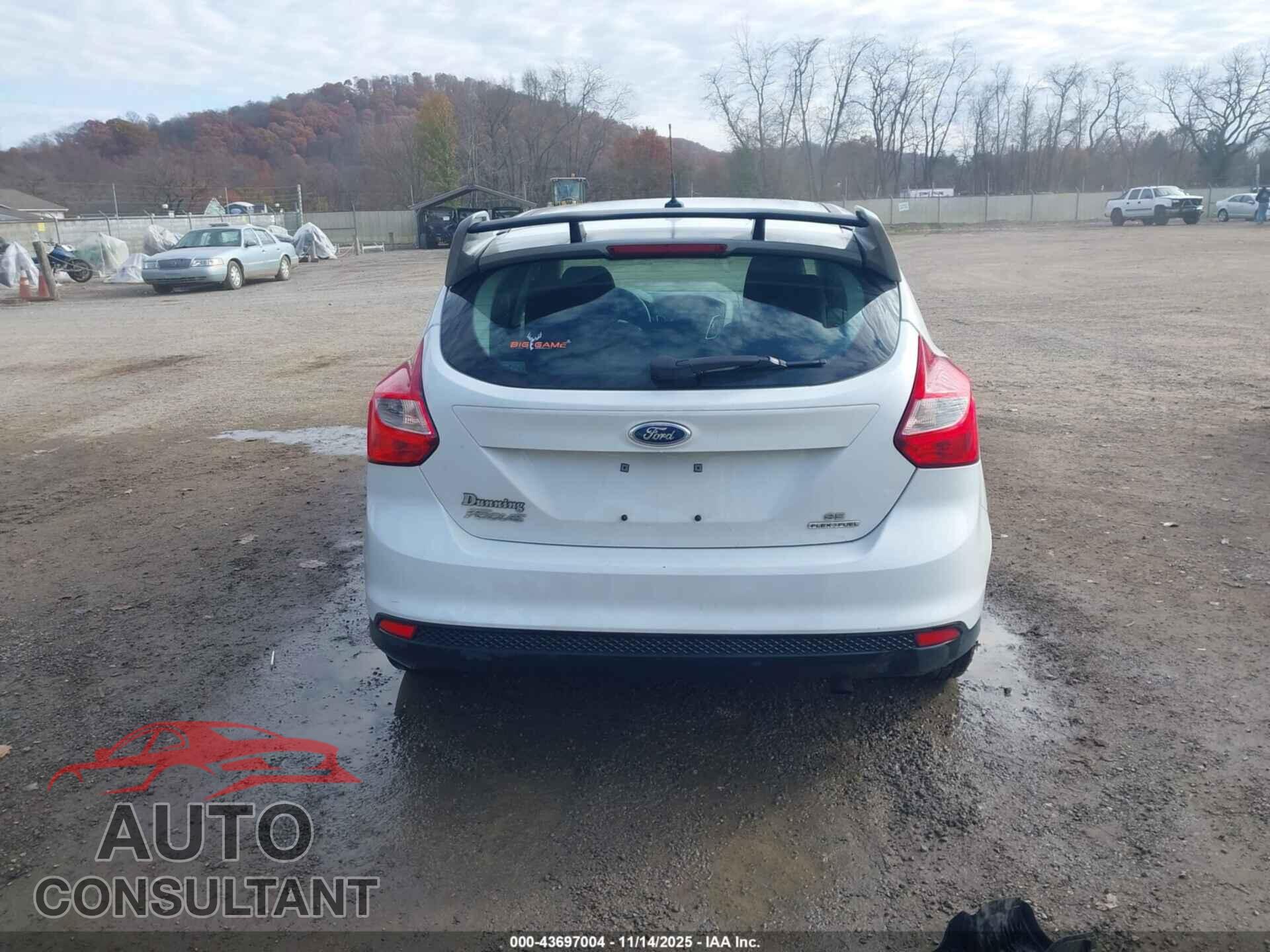 FORD FOCUS 2013 - 1FADP3K29DL301955