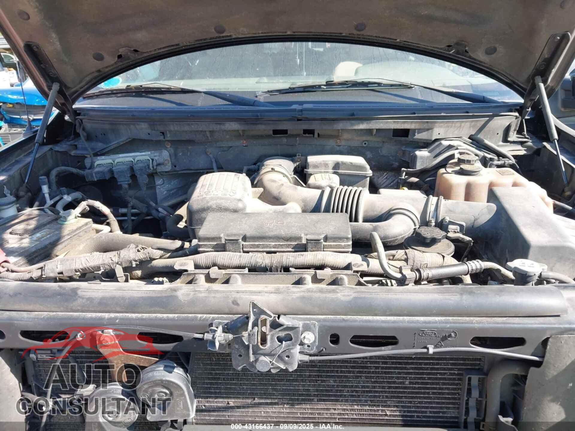 FORD F-150 2010 - 1FTFX1EV5AFC83400