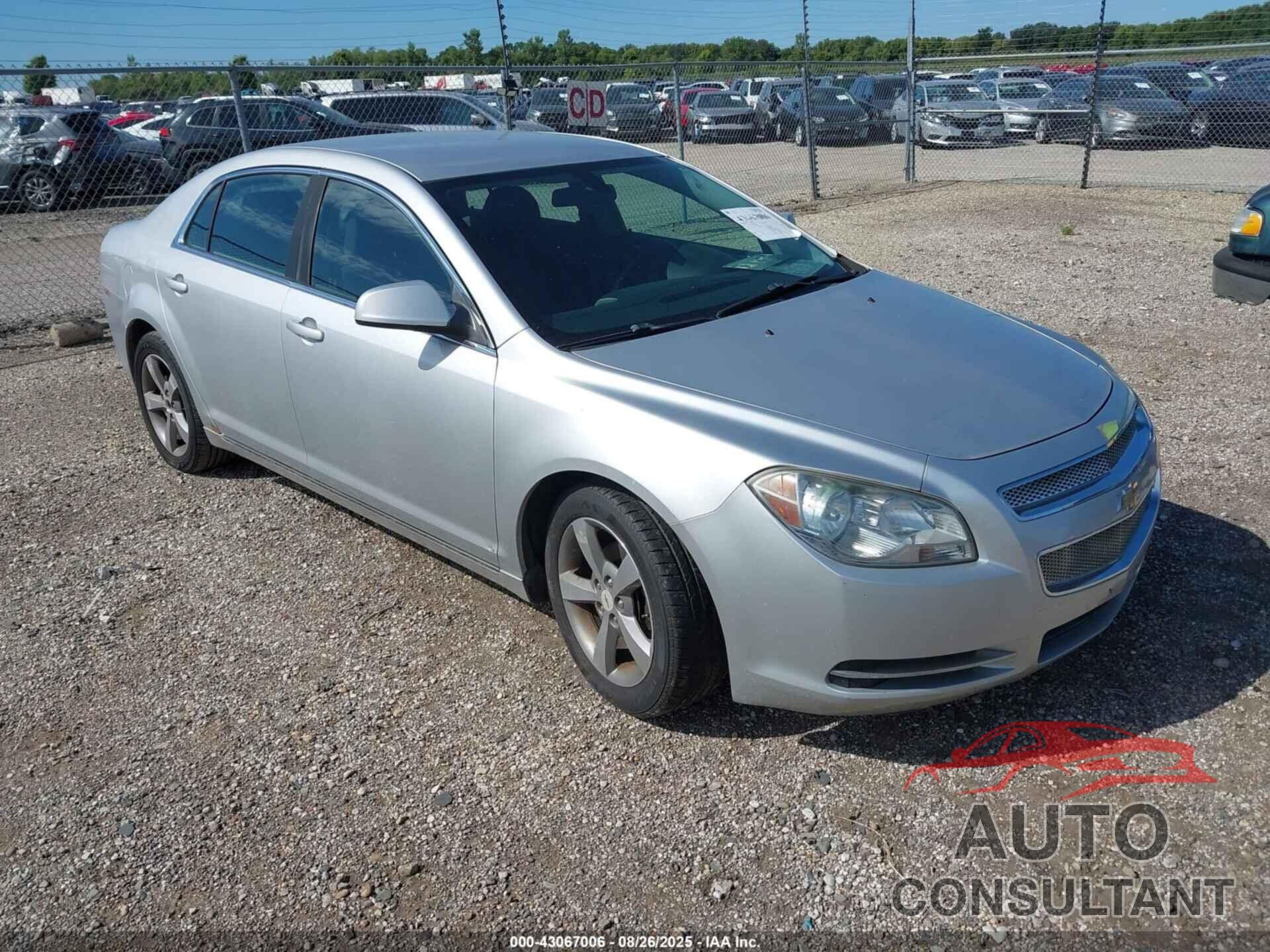 CHEVROLET MALIBU 2011 - 1G1ZC5EU1BF123970