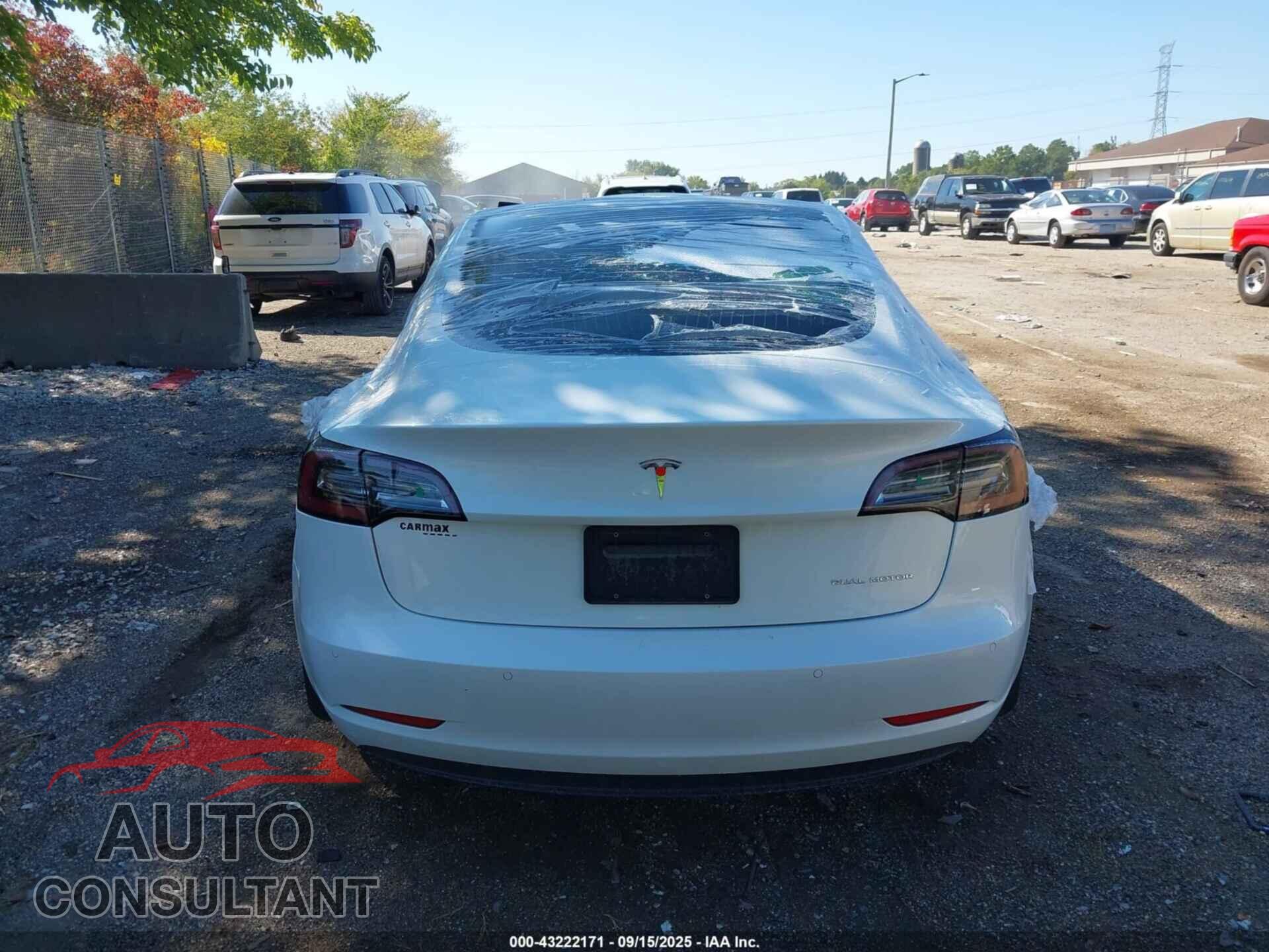 TESLA MODEL 3 2020 - 5YJ3E1EB9LF618051
