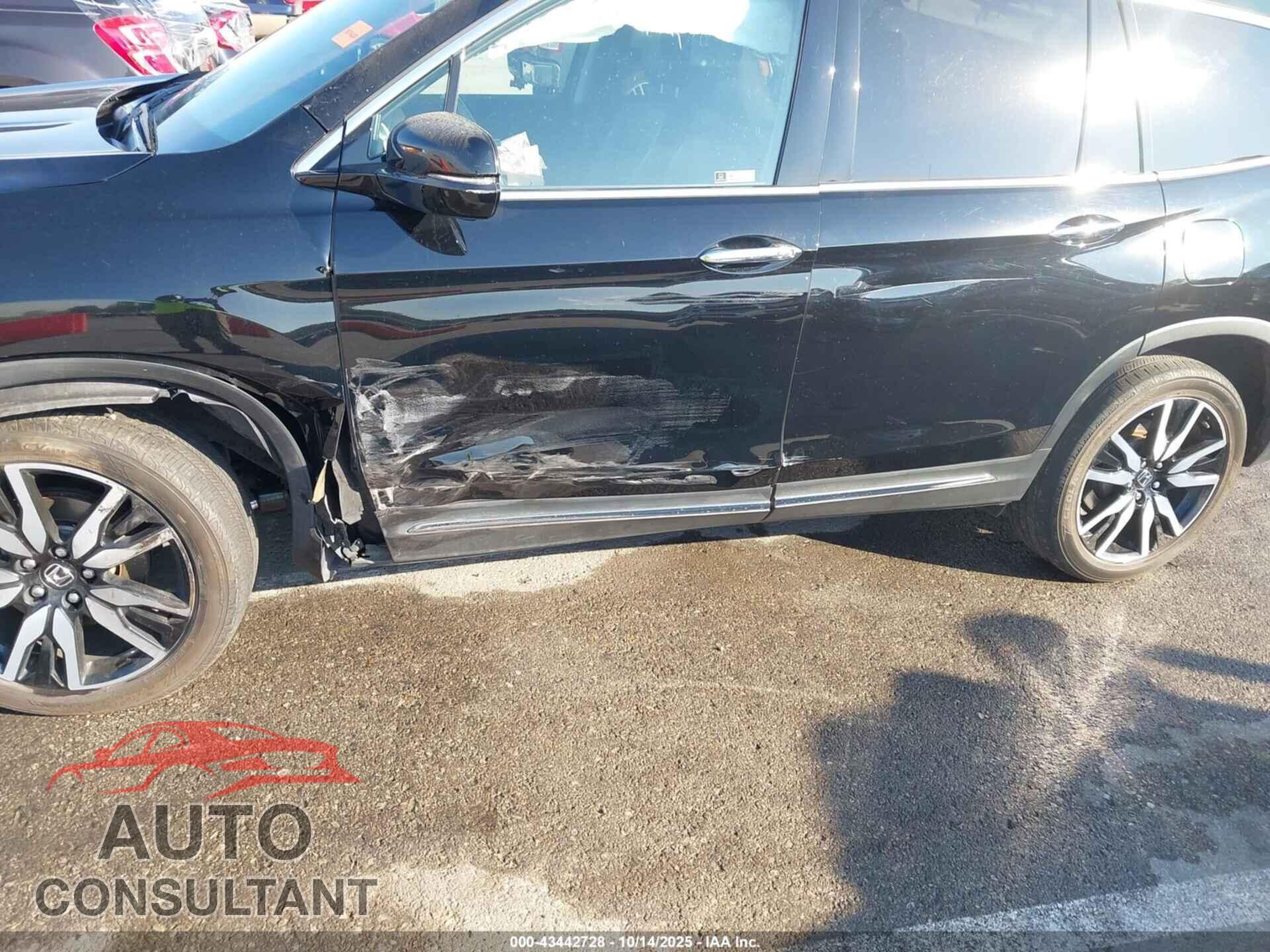 HONDA PILOT 2019 - 5FNYF6H01KB059281