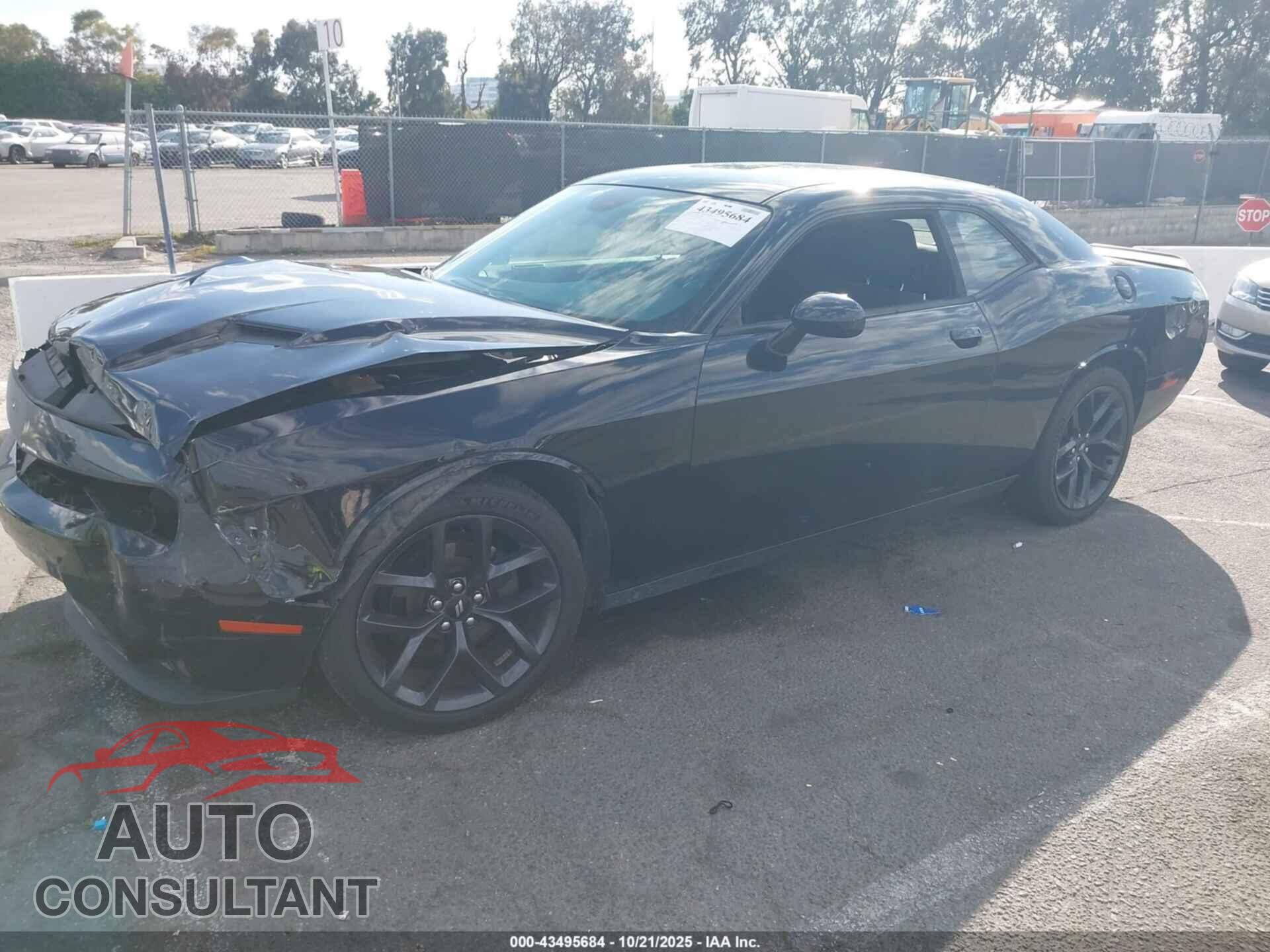 DODGE CHALLENGER 2019 - 2C3CDZAG9KH504079