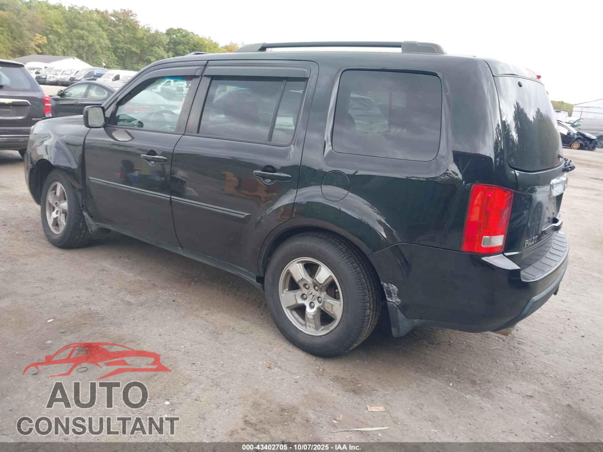 HONDA PILOT 2010 - 5FNYF4H61AB022075