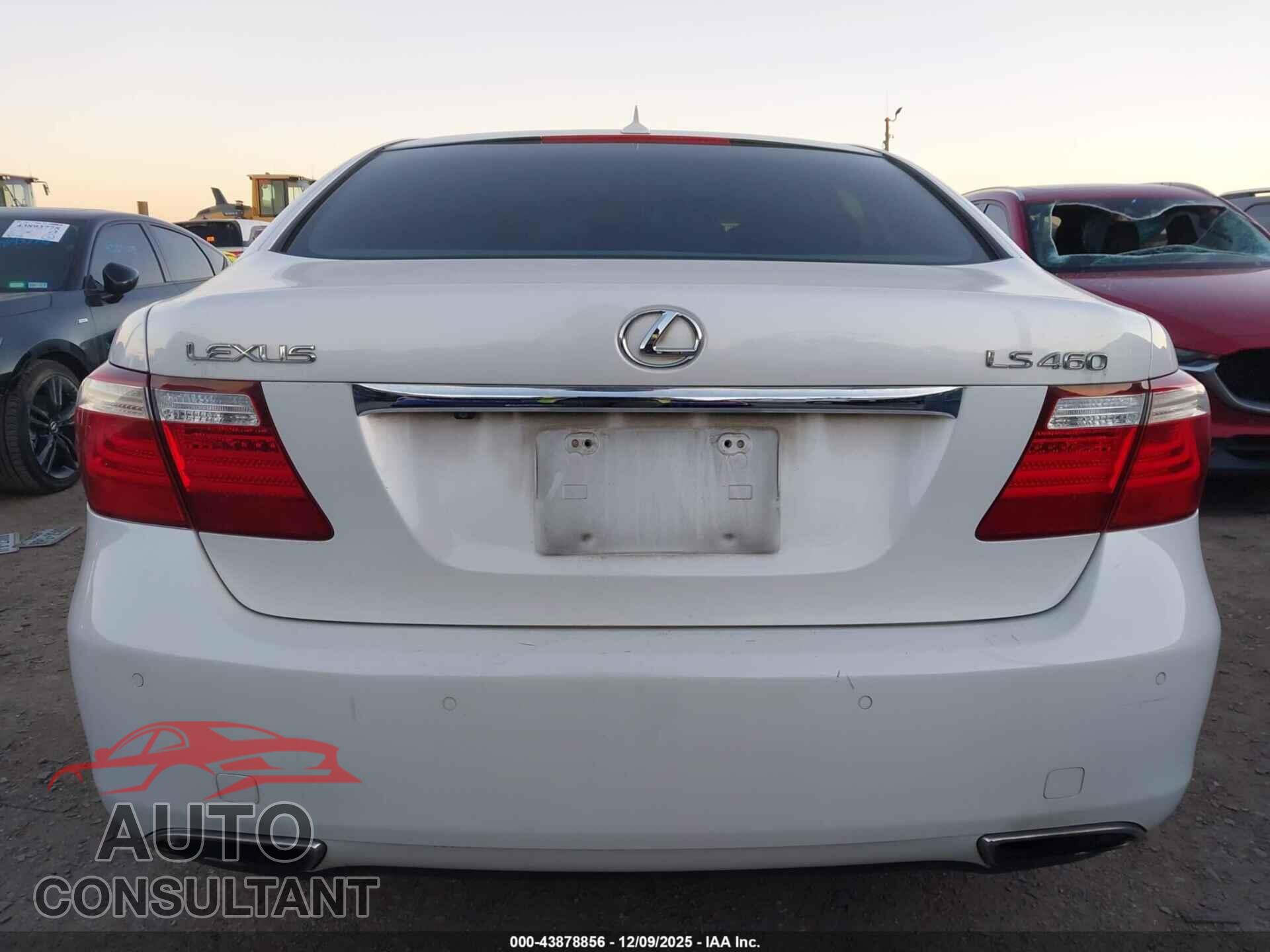 LEXUS LS 460 2009 - JTHBL46F095085357