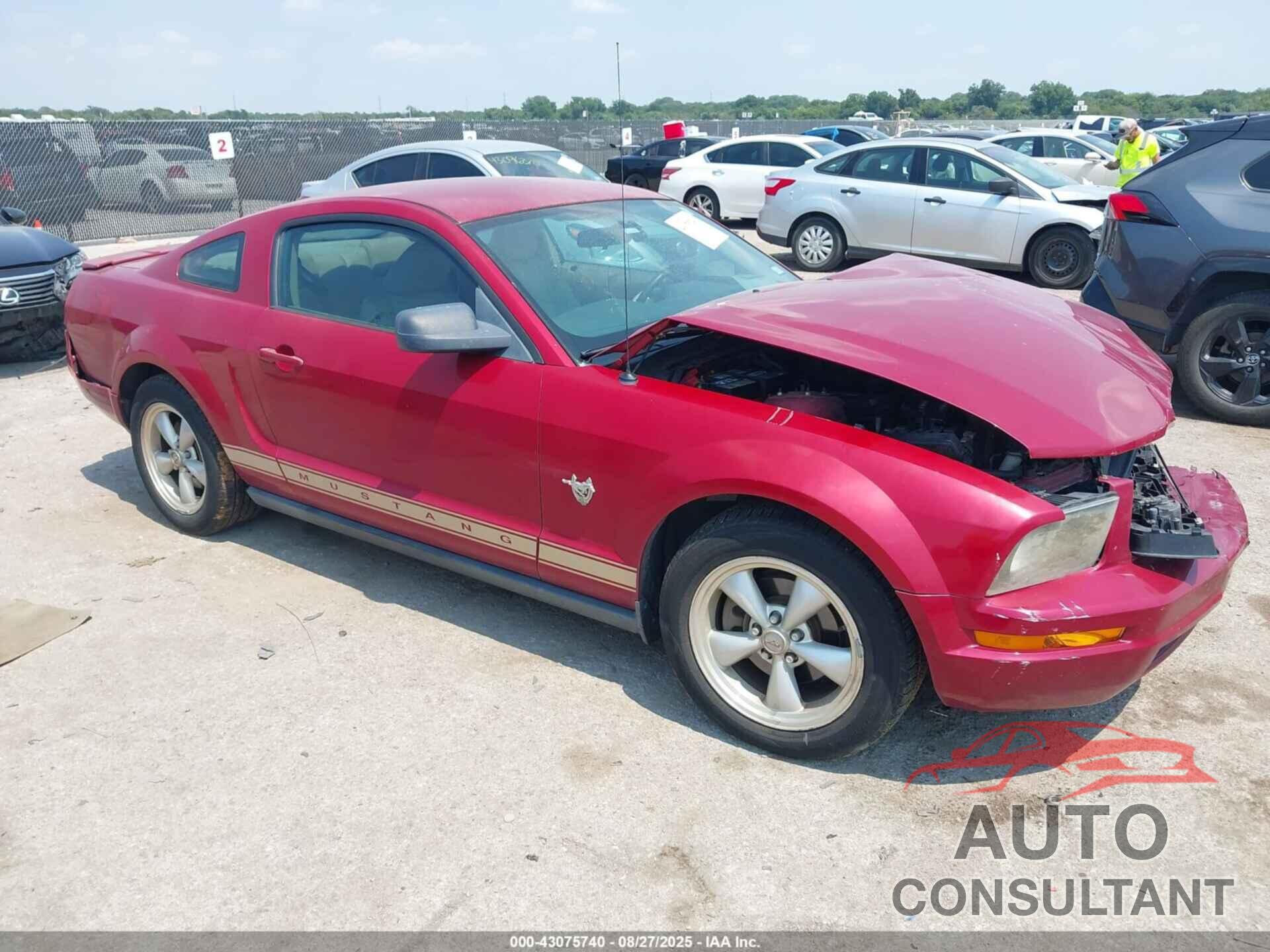 FORD MUSTANG 2009 - 1ZVHT80N295128452