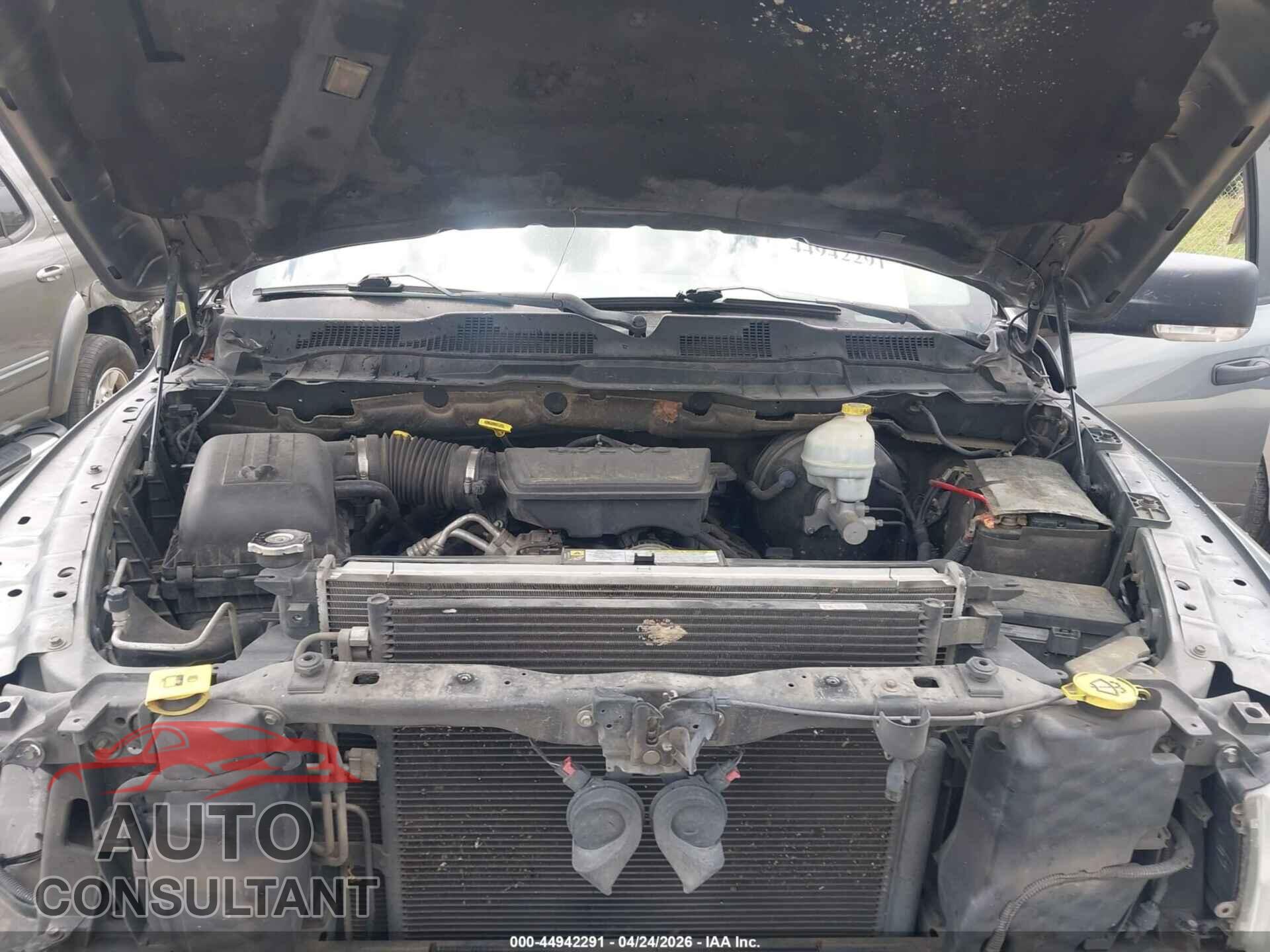 DODGE RAM 1500 2009 - 1D3HB18P69S738334