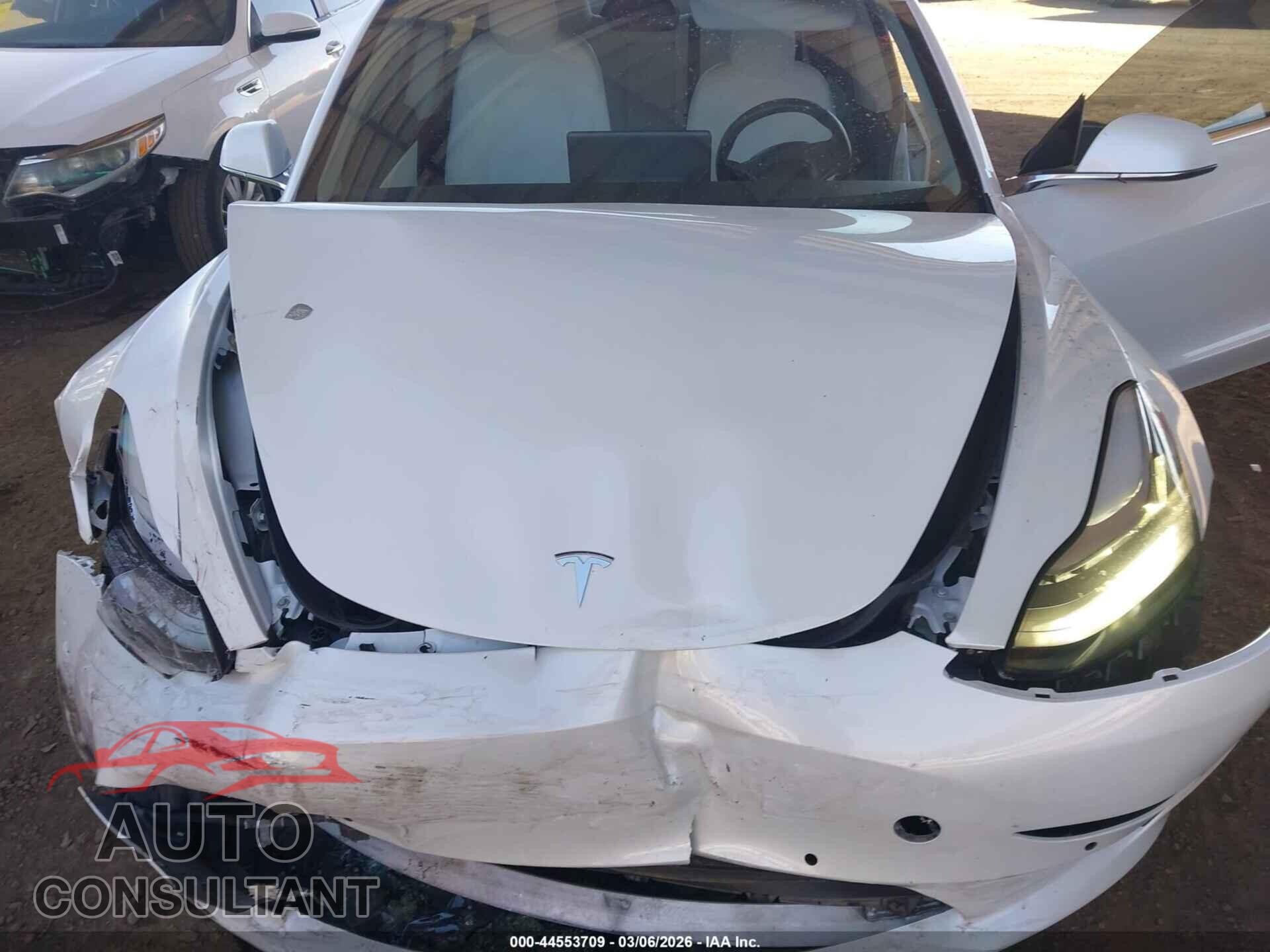 TESLA MODEL 3 2019 - 5YJ3E1EA0KF336435