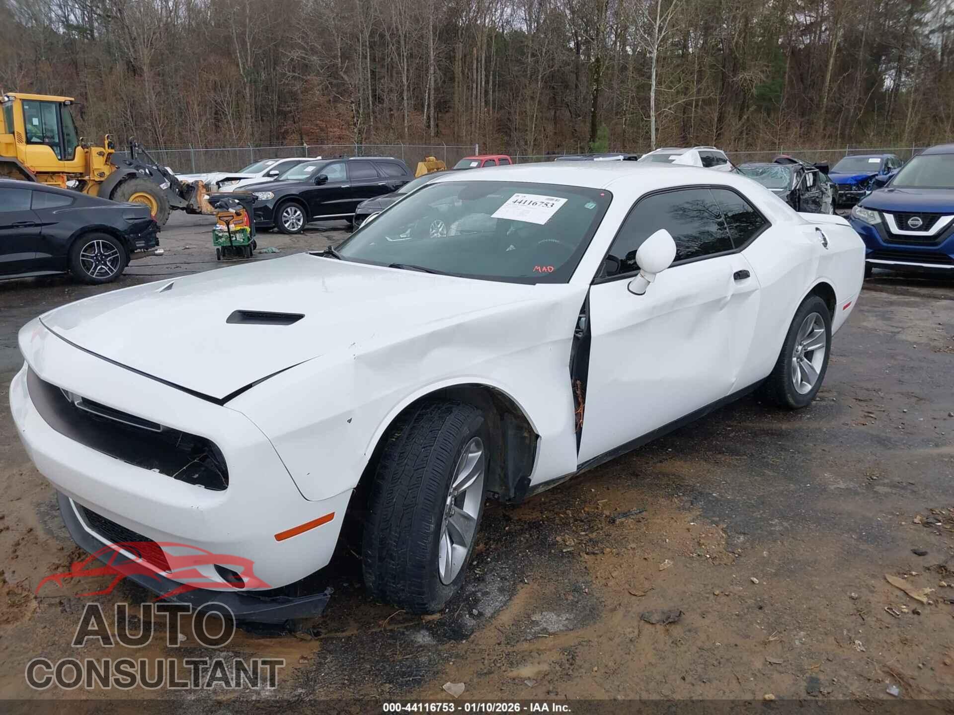 DODGE CHALLENGER 2019 - 2C3CDZAG4KH744754