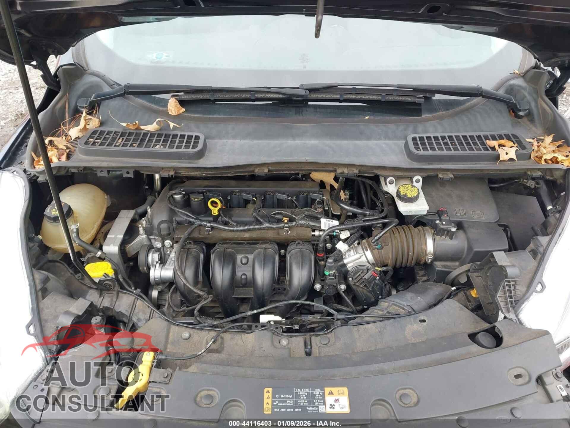 FORD ESCAPE 2017 - 1FMCU0F7XHUE00962