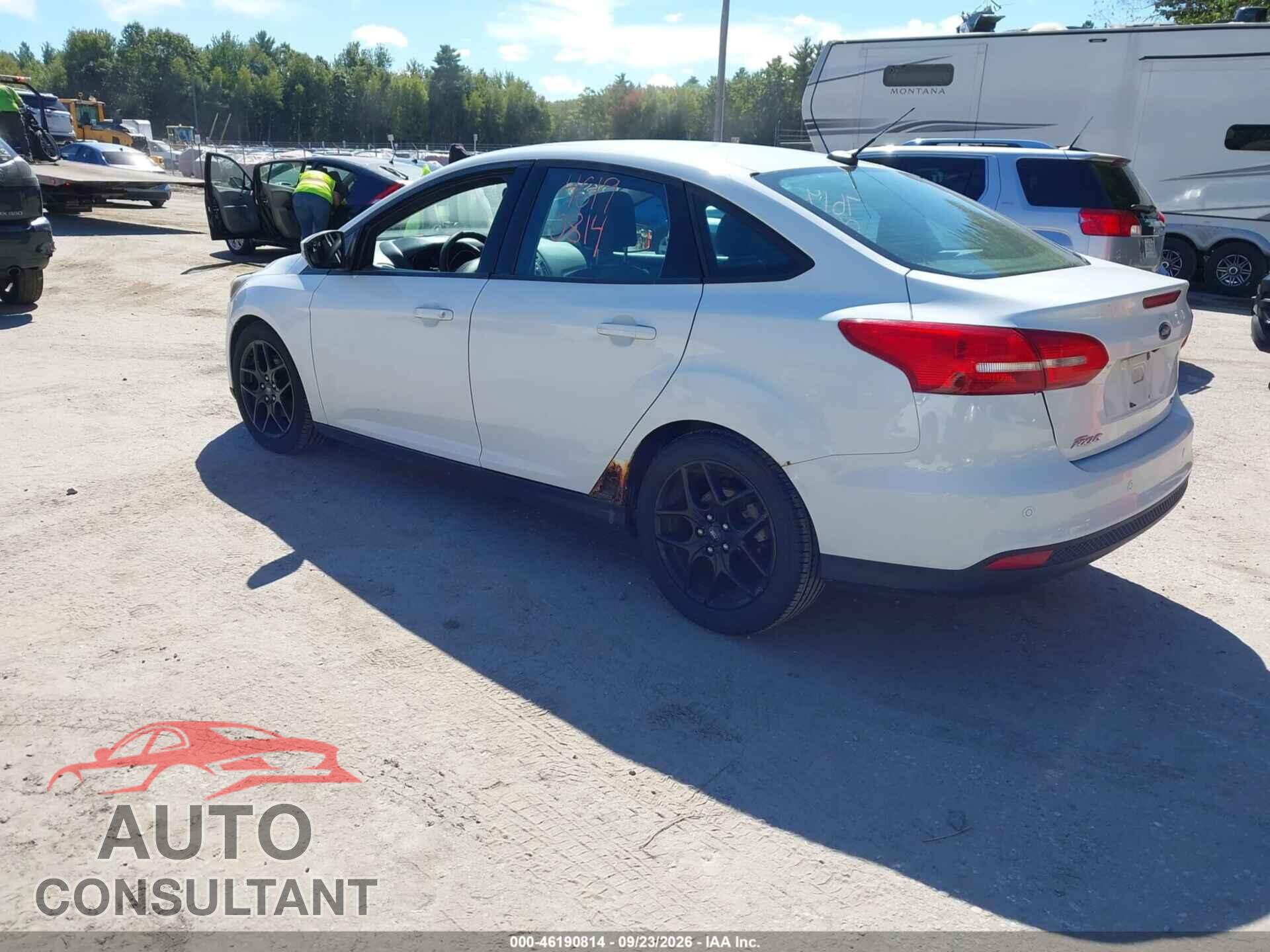 FORD FOCUS 2016 - 1FADP3F29GL330189