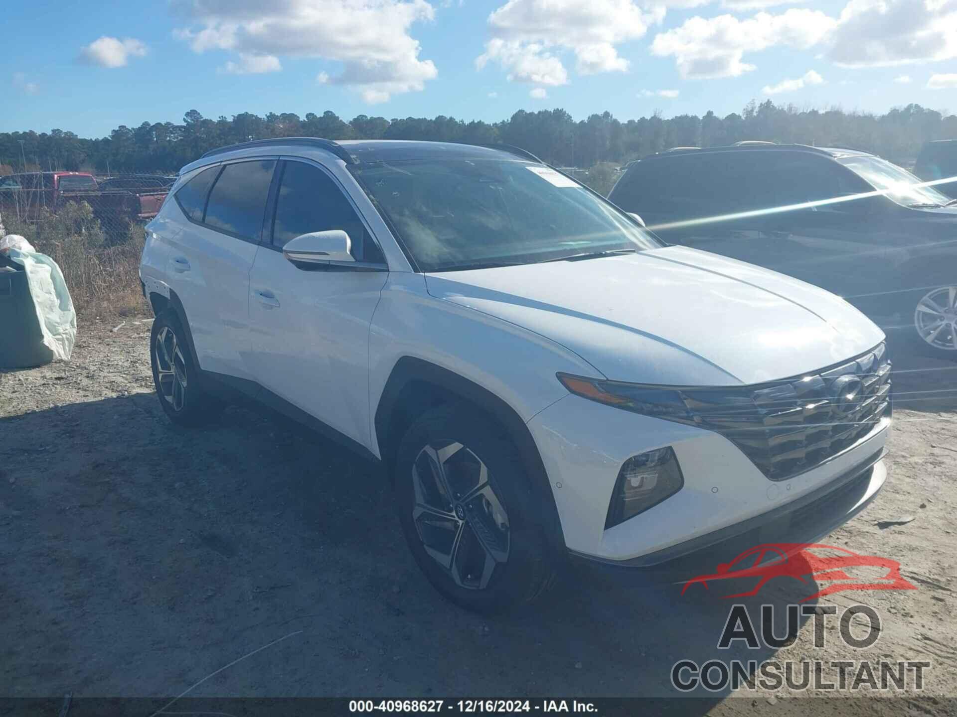 HYUNDAI TUCSON HYBRID 2024 - KM8JECD14RU186900