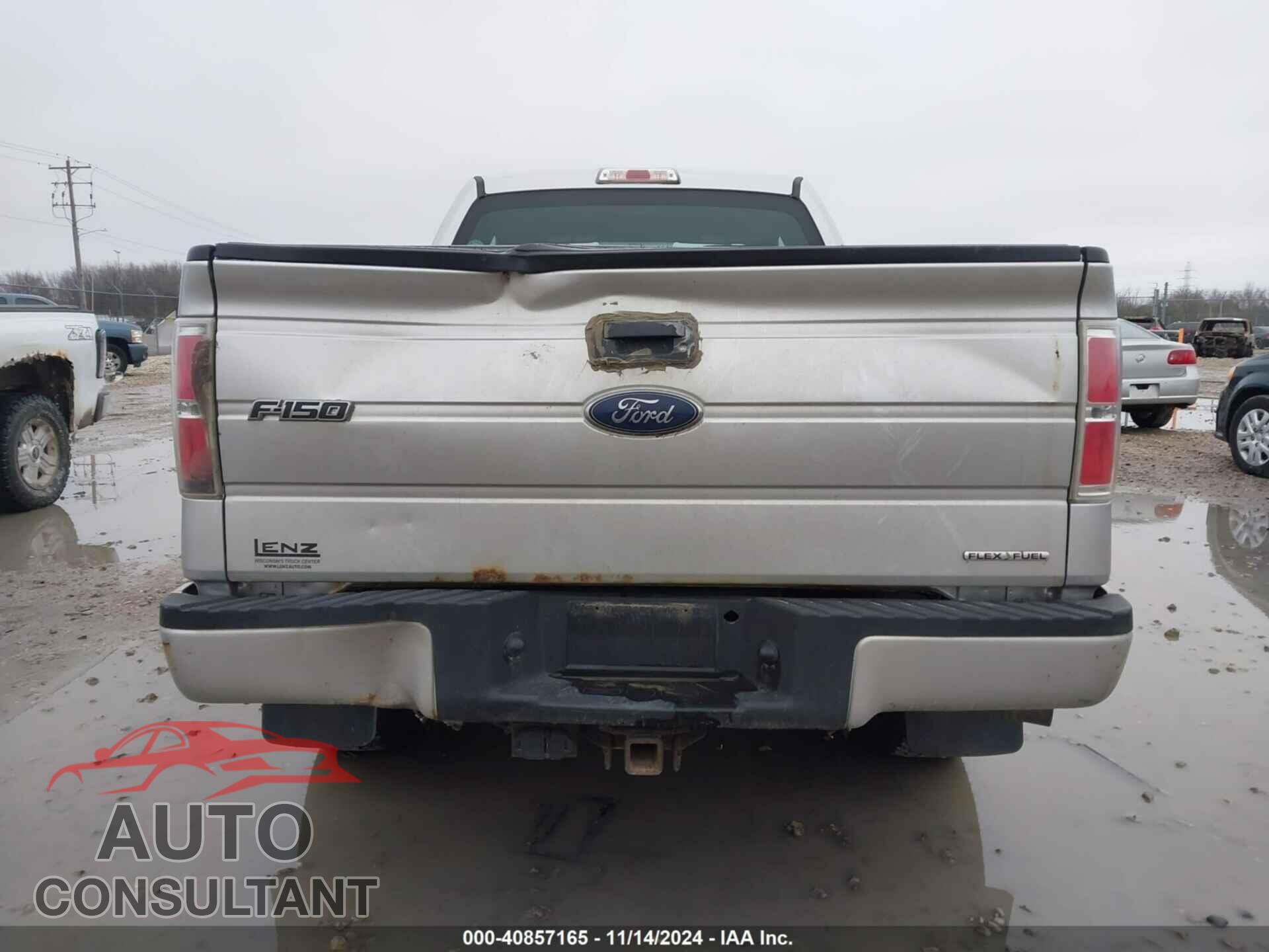 FORD F-150 2013 - 1FTFX1EF7DFD33954