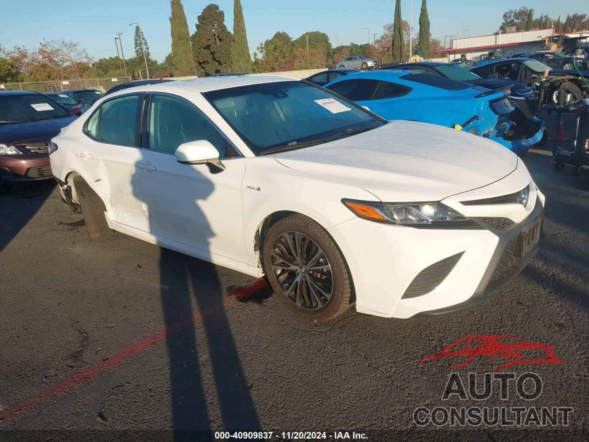 TOYOTA CAMRY 2020 - 4T1G31AKXLU519500