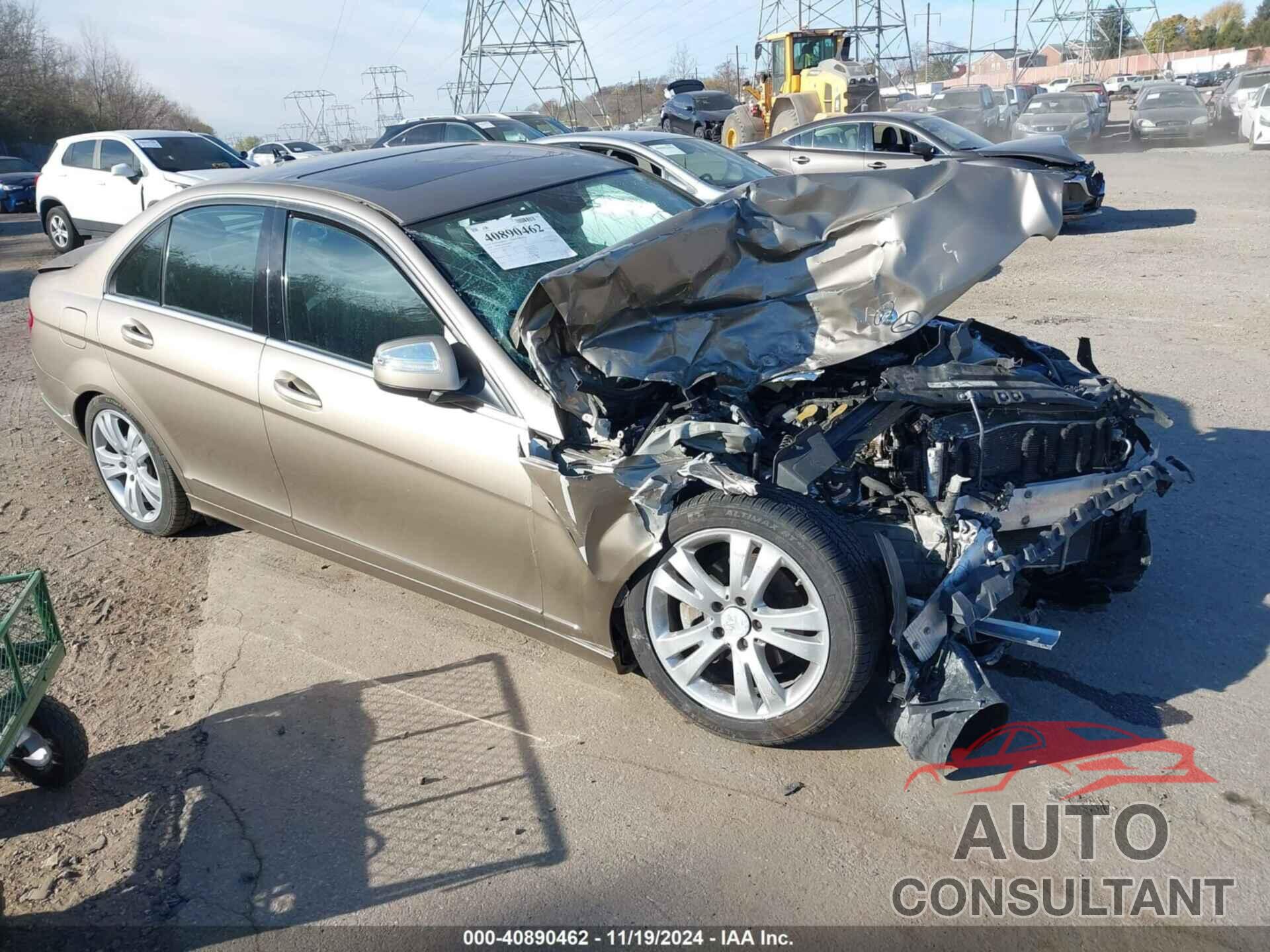 MERCEDES-BENZ C 300 2009 - WDDGF54X29F204932