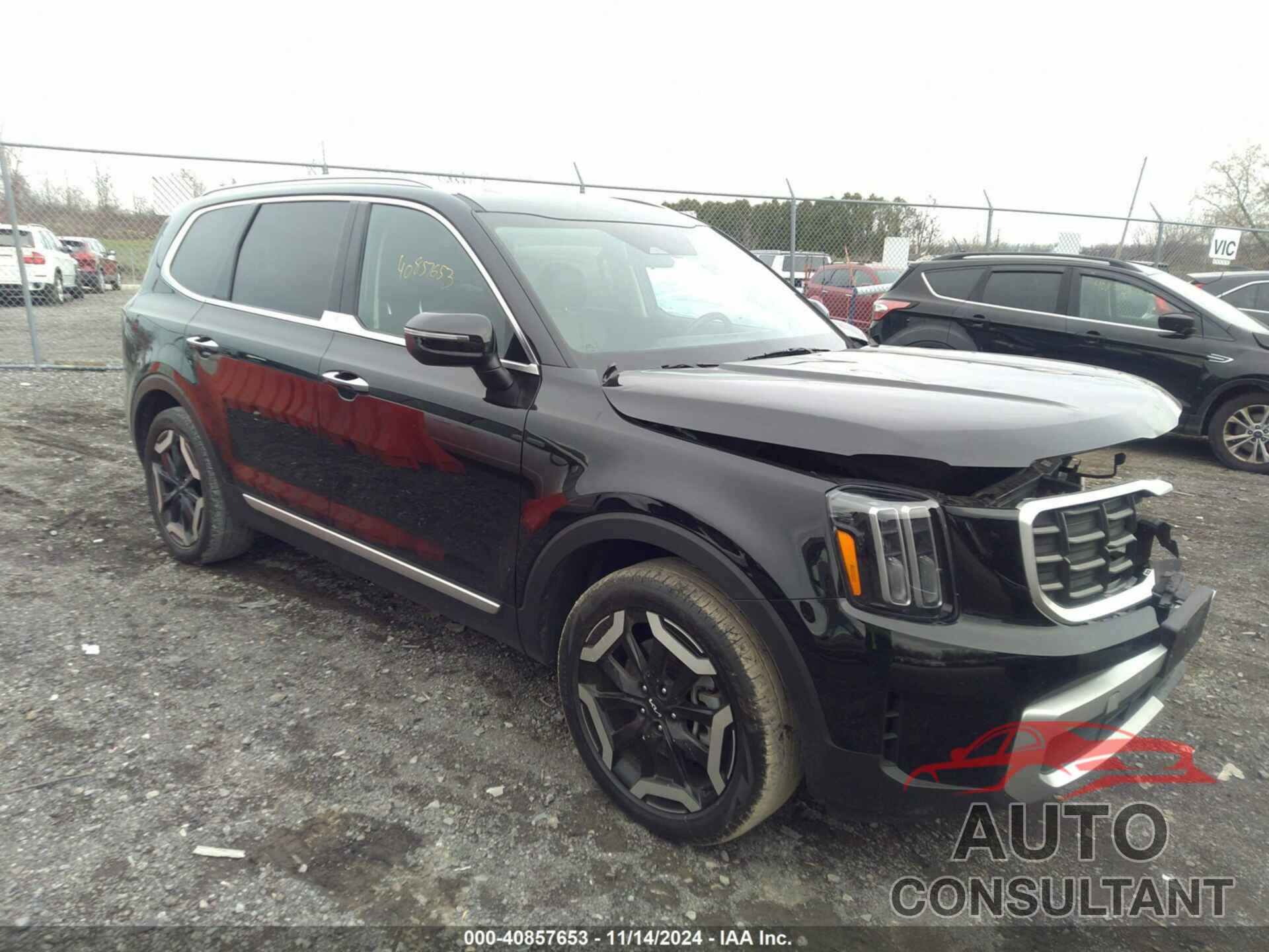 KIA TELLURIDE 2024 - 5XYP6DGC5RG472724