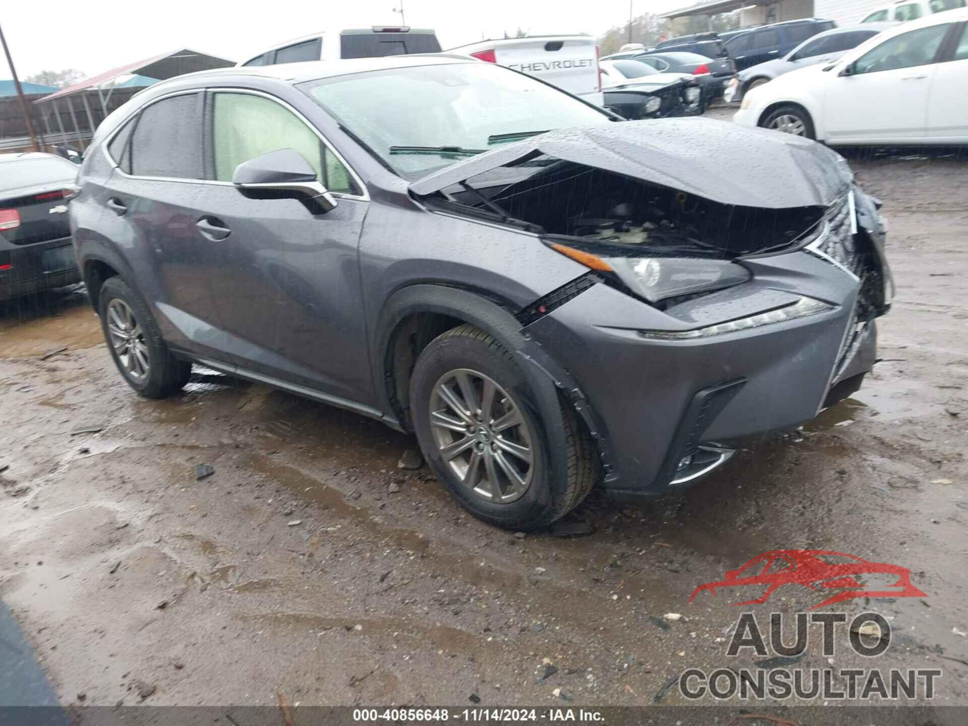 LEXUS NX 300 2020 - JTJDARBZ8L2159241