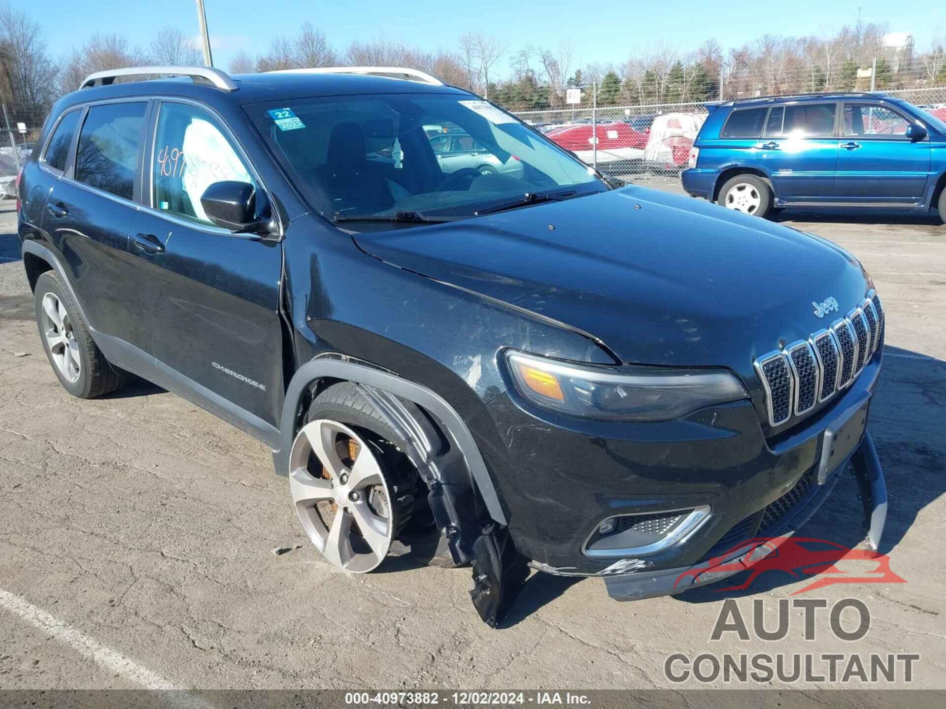 JEEP CHEROKEE 2019 - 1C4PJMDN4KD133848