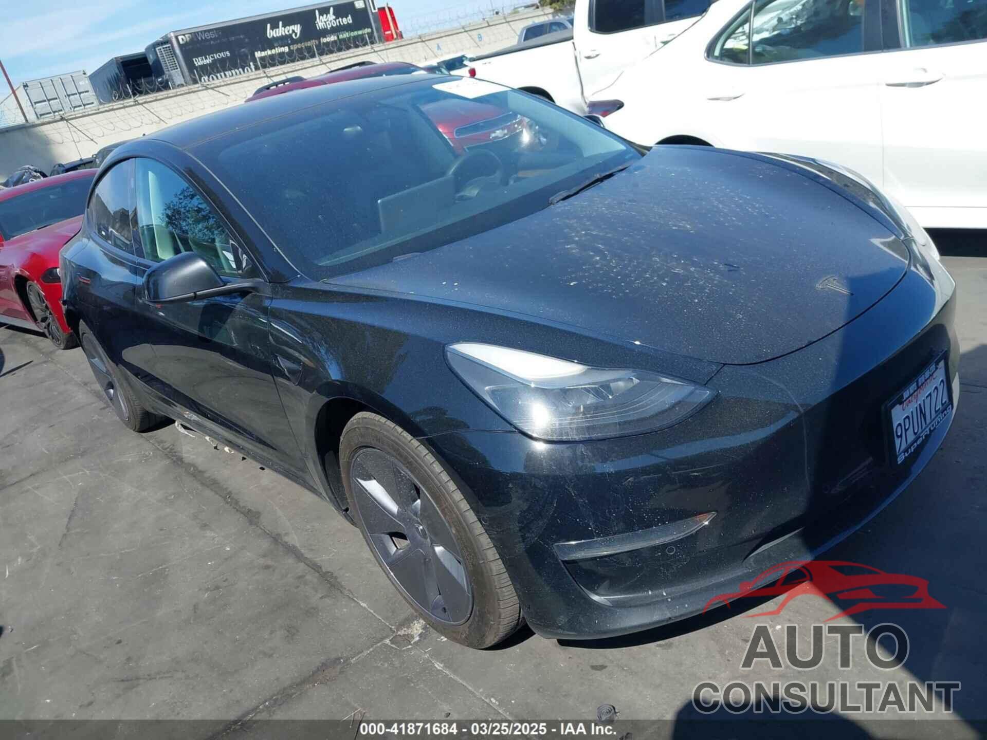 TESLA MODEL 3 2022 - 5YJ3E1EB3NF133844