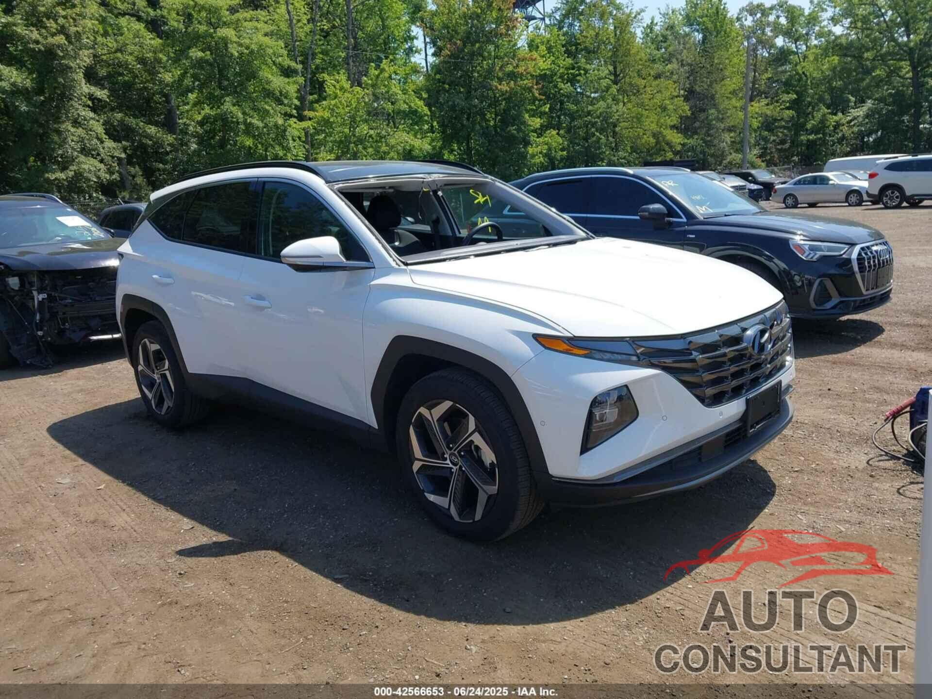 HYUNDAI TUCSON 2024 - 5NMJE3DE2RH302626