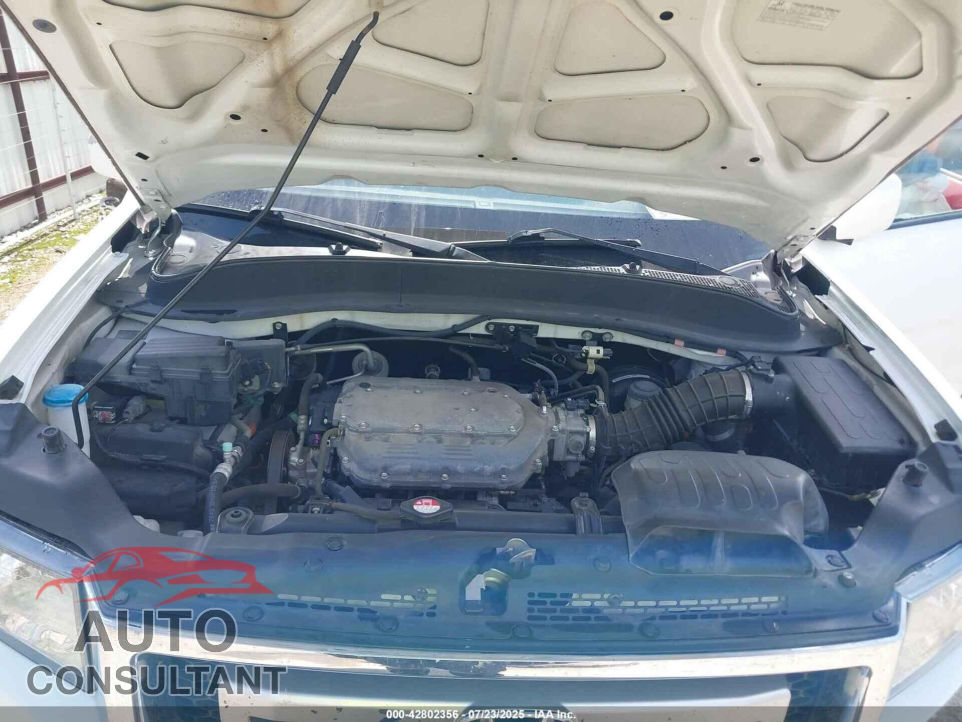 HONDA RIDGELINE 2010 - 5FPYK1F42AB010892