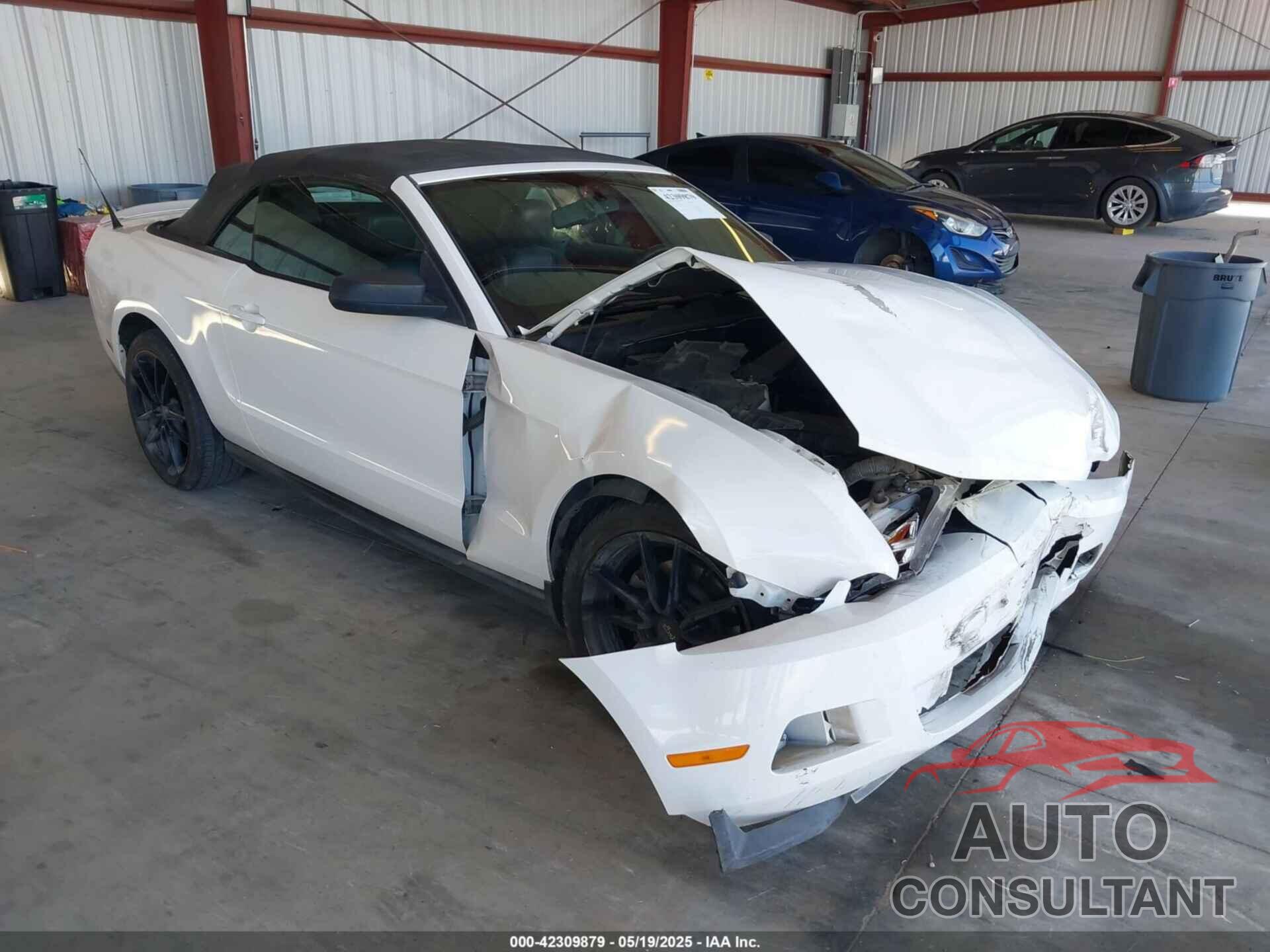 FORD MUSTANG 2011 - 1ZVBP8EM4B5120370