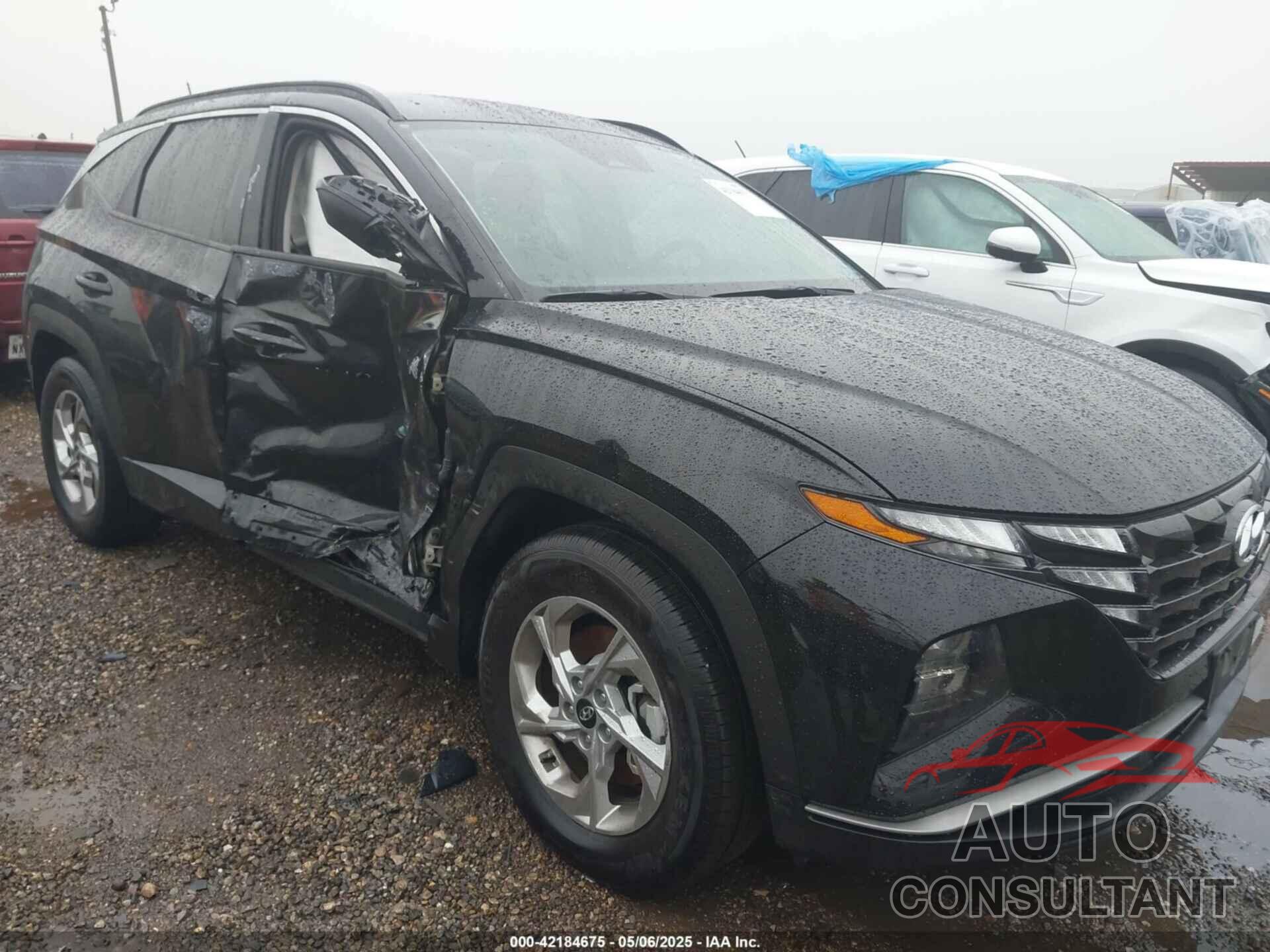 HYUNDAI TUCSON 2024 - KM8JB3DEXRU316917