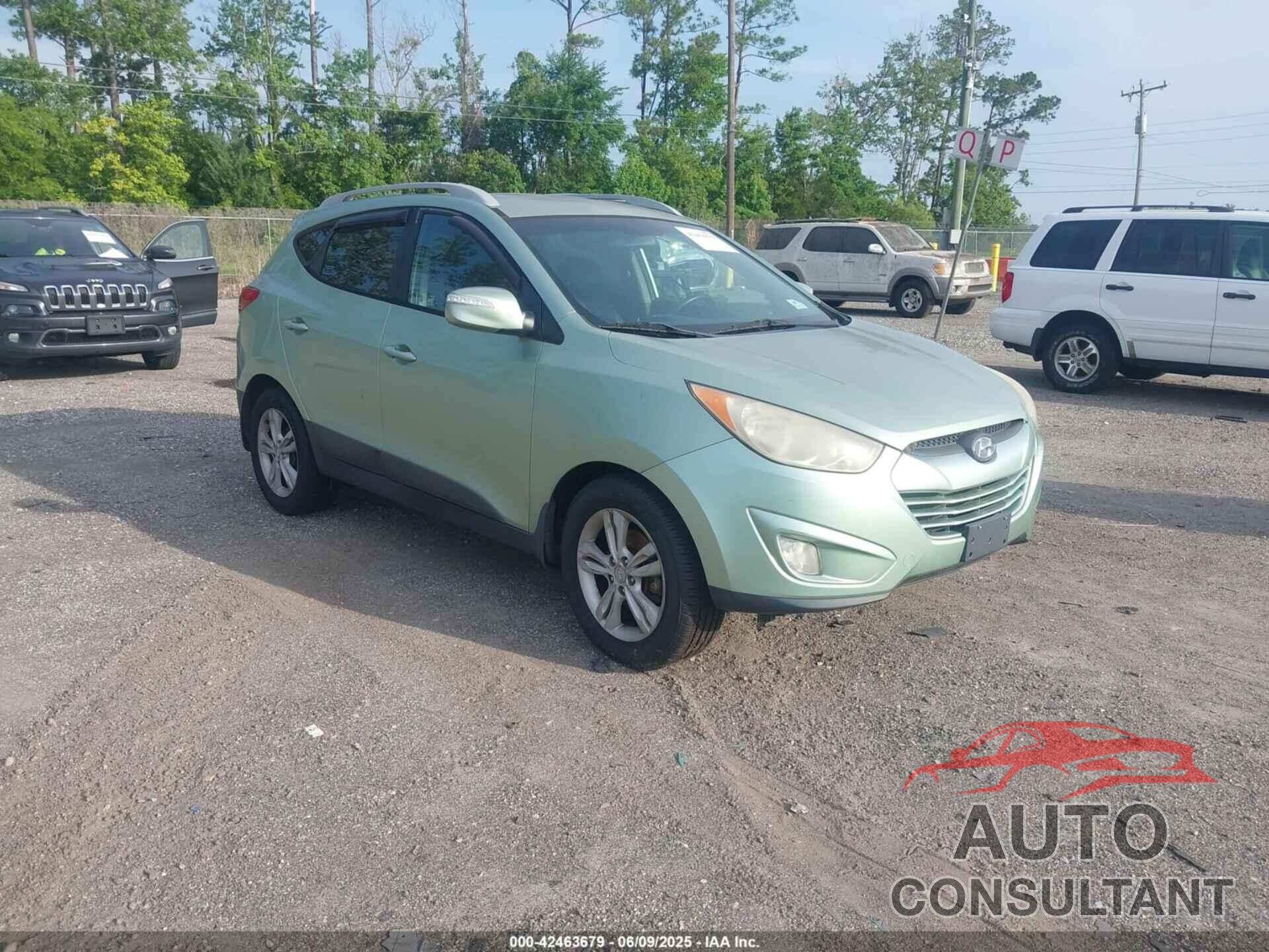HYUNDAI TUCSON 2013 - KM8JUCAC3DU558454