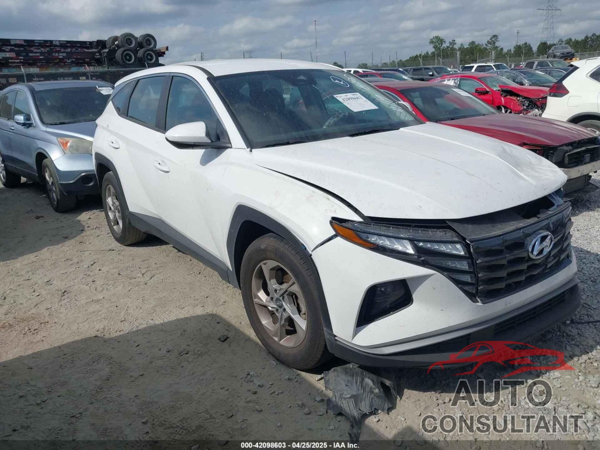 HYUNDAI TUCSON 2024 - 5NMJA3DE3RH434368