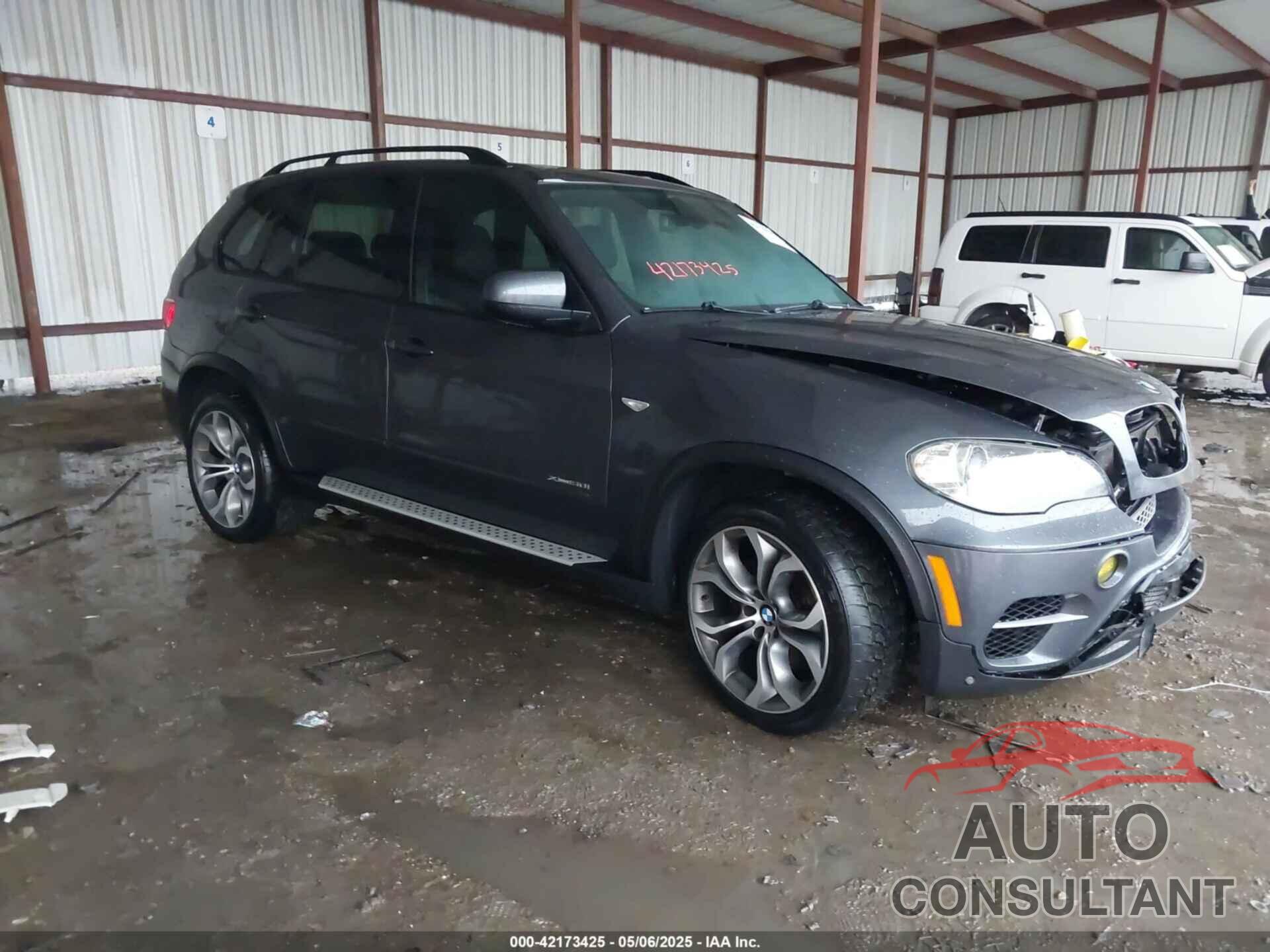 BMW X5 2011 - 5UXZV8C59BL419527