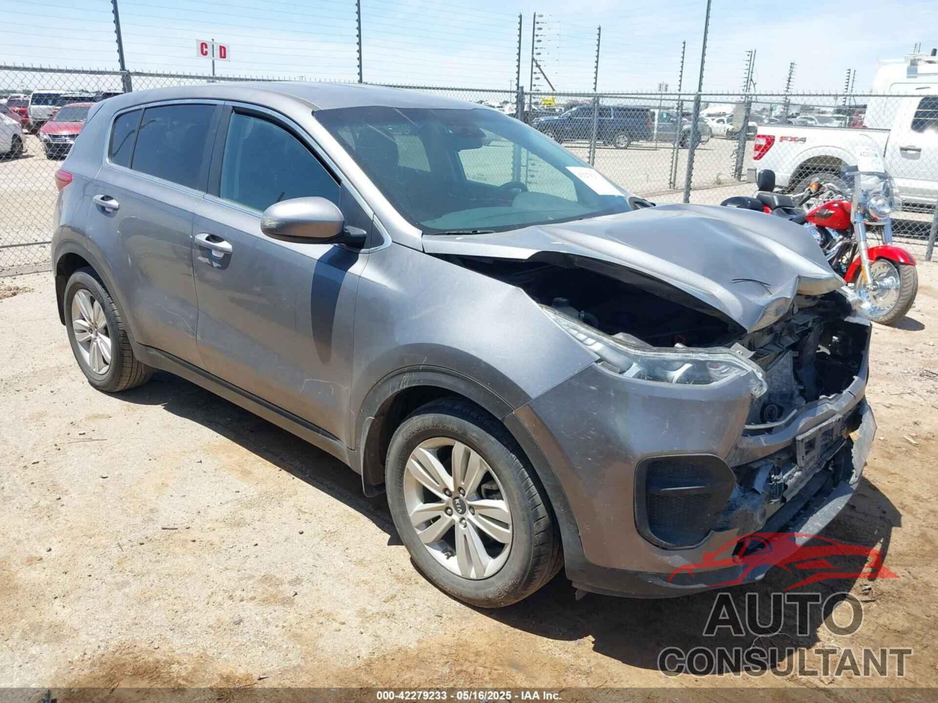 KIA SPORTAGE 2019 - KNDPM3AC1K7560990