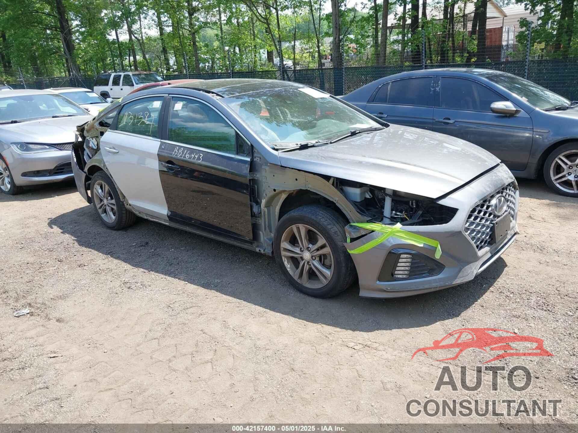 HYUNDAI SONATA 2019 - 5NPE34AF7KH809430