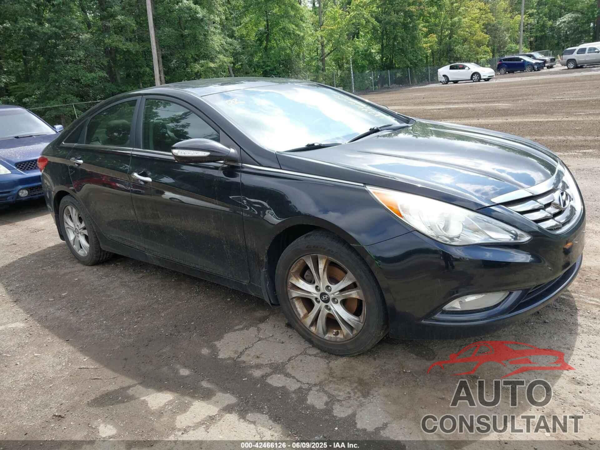 HYUNDAI SONATA 2011 - 5NPEC4ACXBH305007
