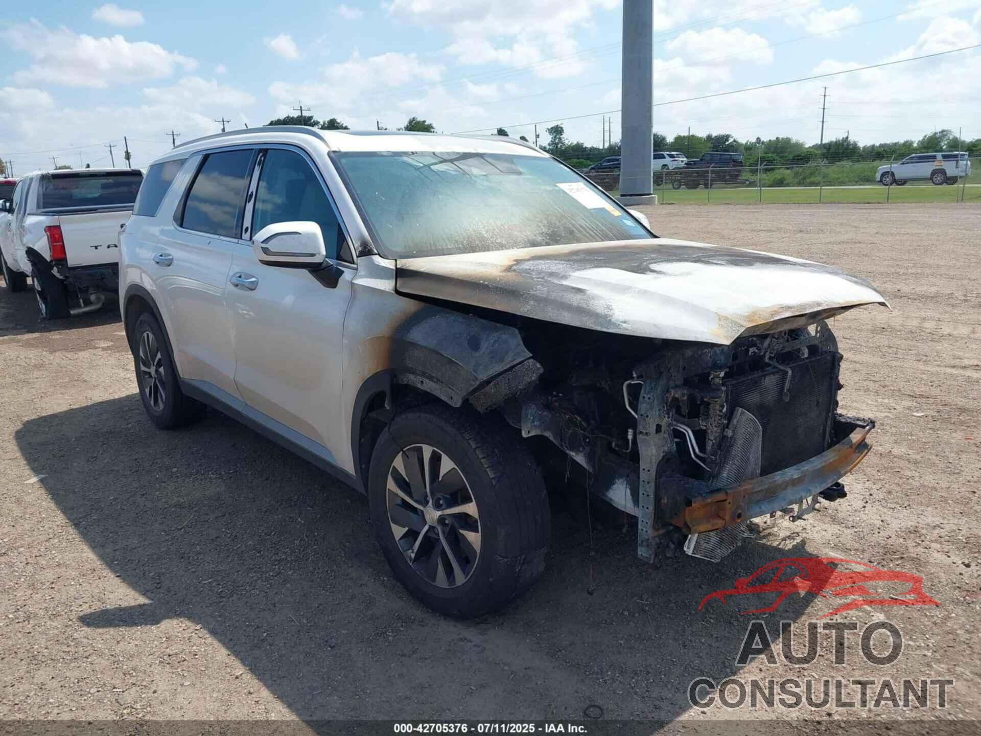 HYUNDAI PALISADE 2020 - KM8R24HE5LU143625