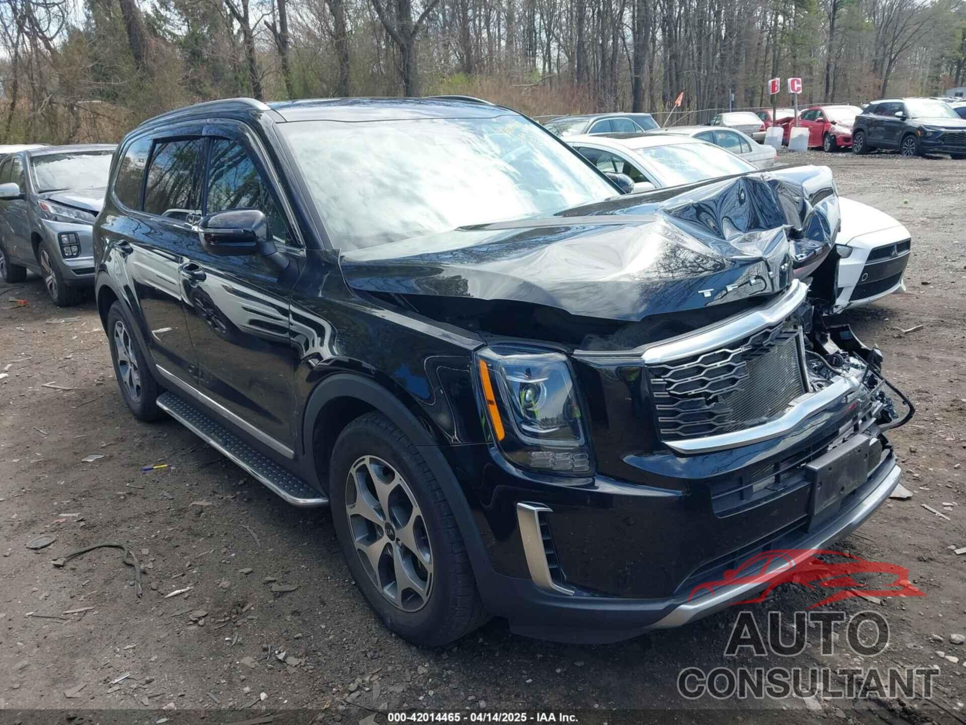 KIA TELLURIDE 2021 - 5XYP3DHC9MG152225